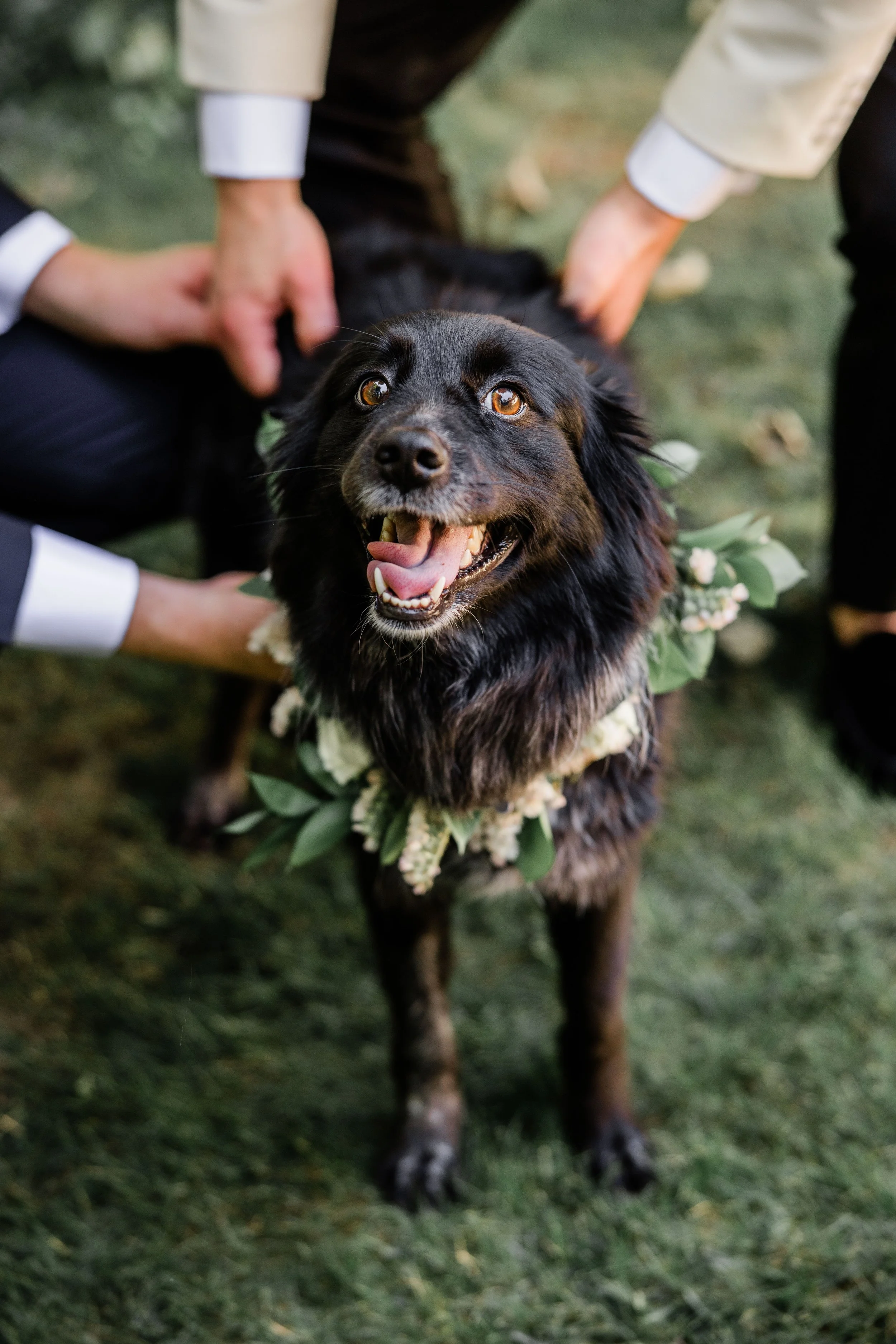 Kevin and Jake Wedding-32.jpg