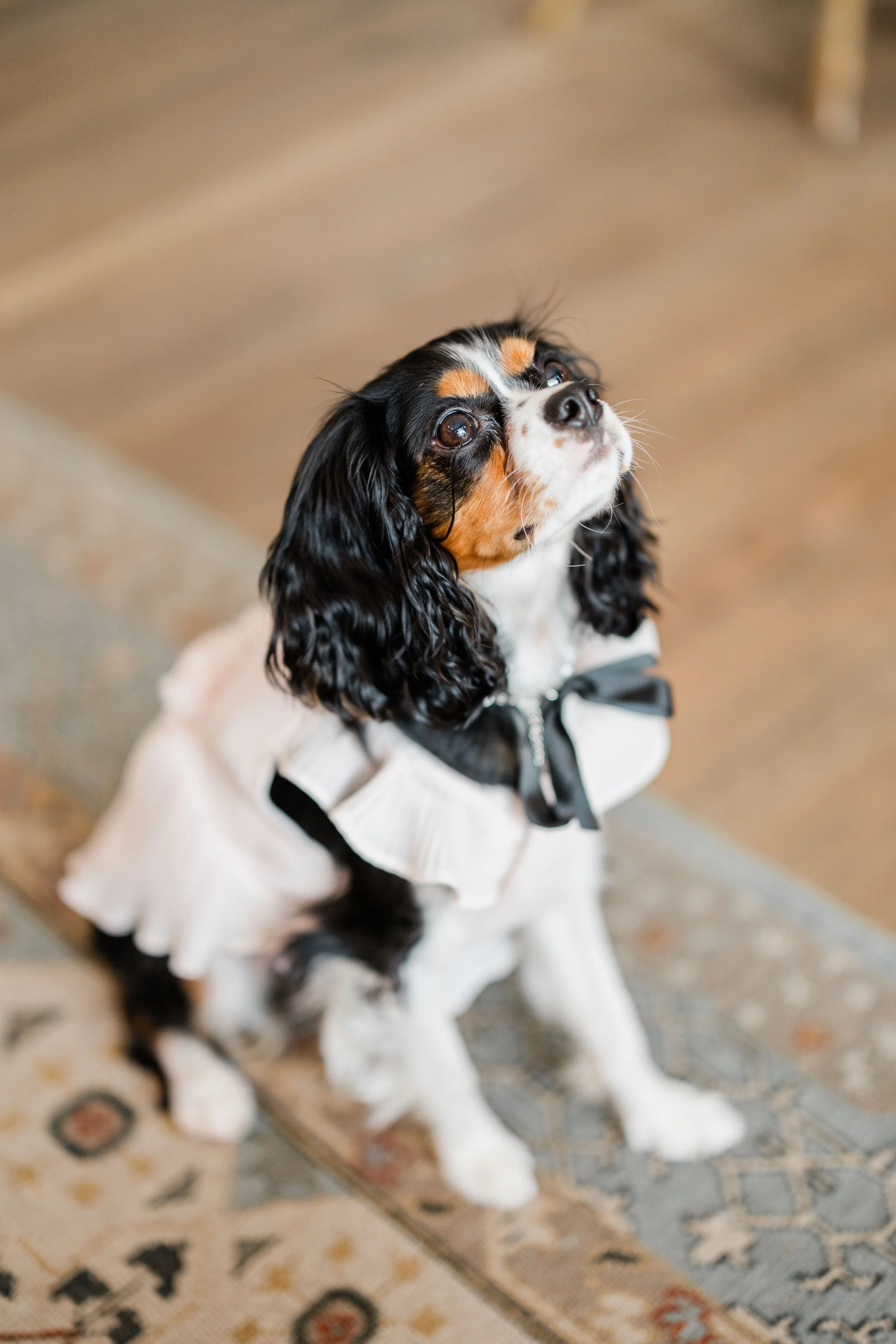 Sophie and Henry Wedding-6.jpg