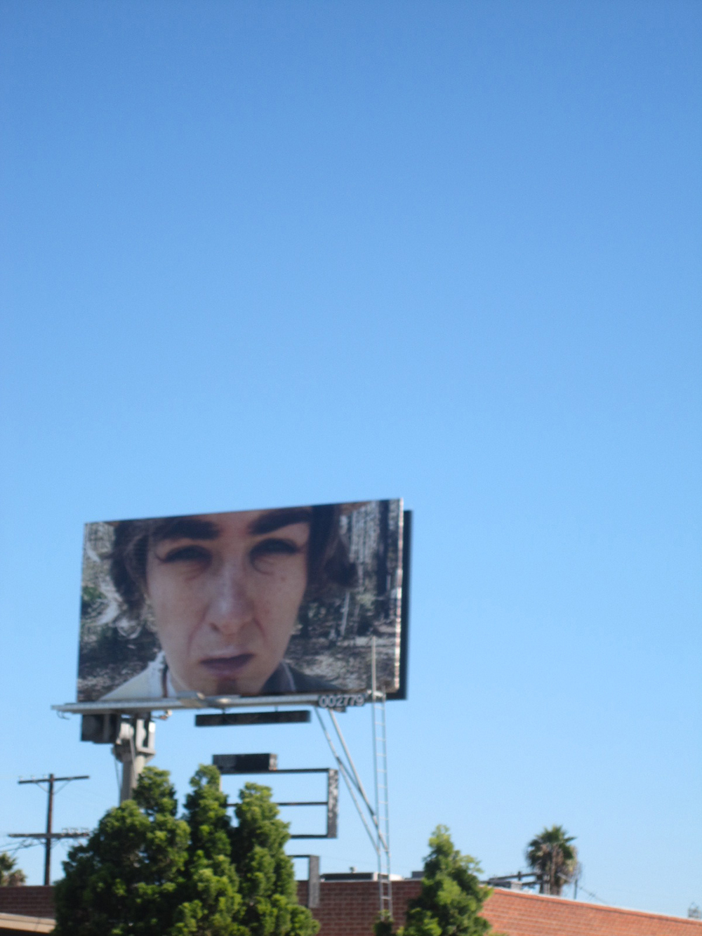 The Loner billboard at LAXART Los Angeles 2010