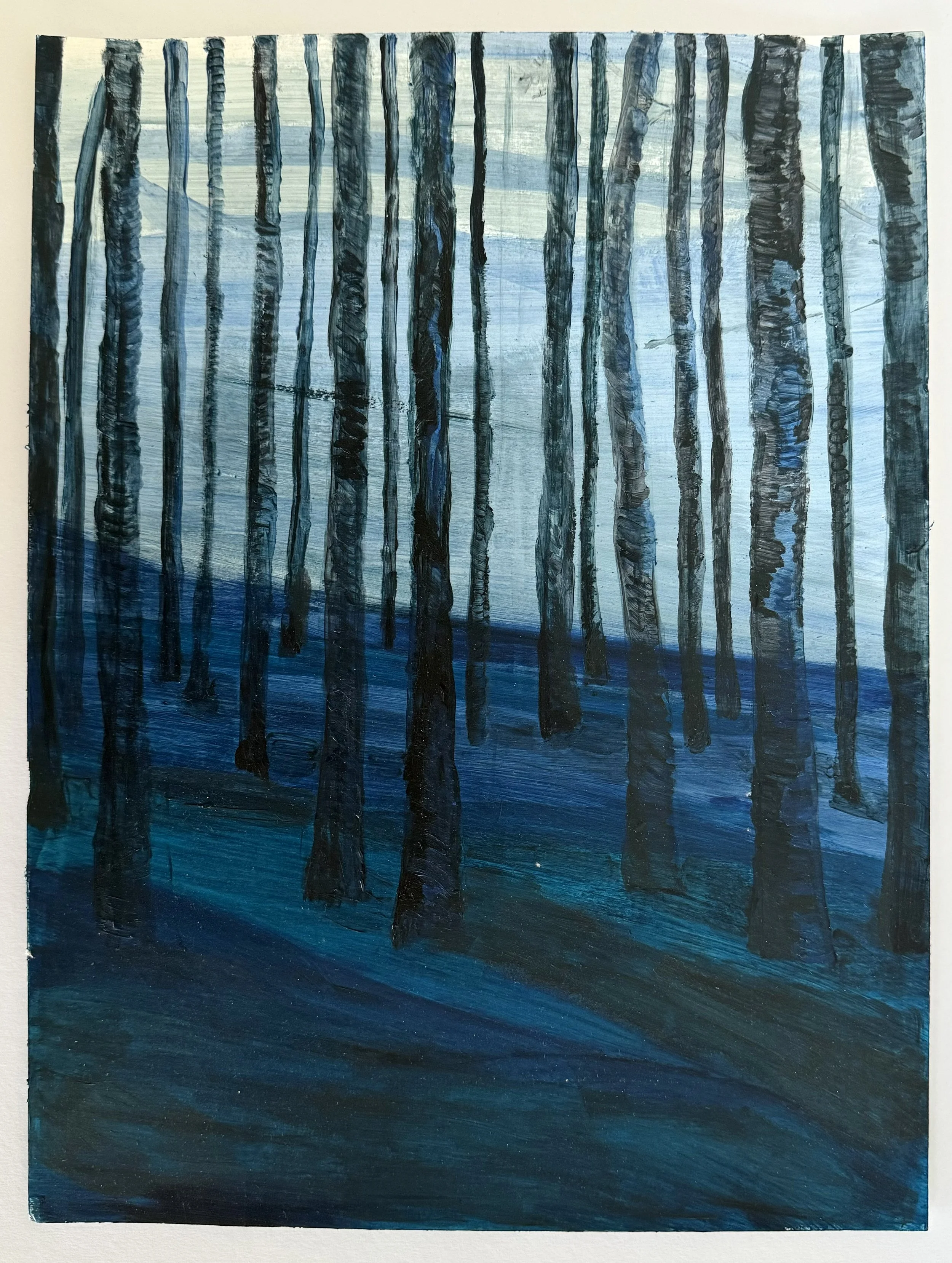   Woods , 2024  acrylic on paper 