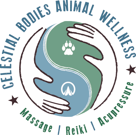 Celestial Bodies Animal Wellness