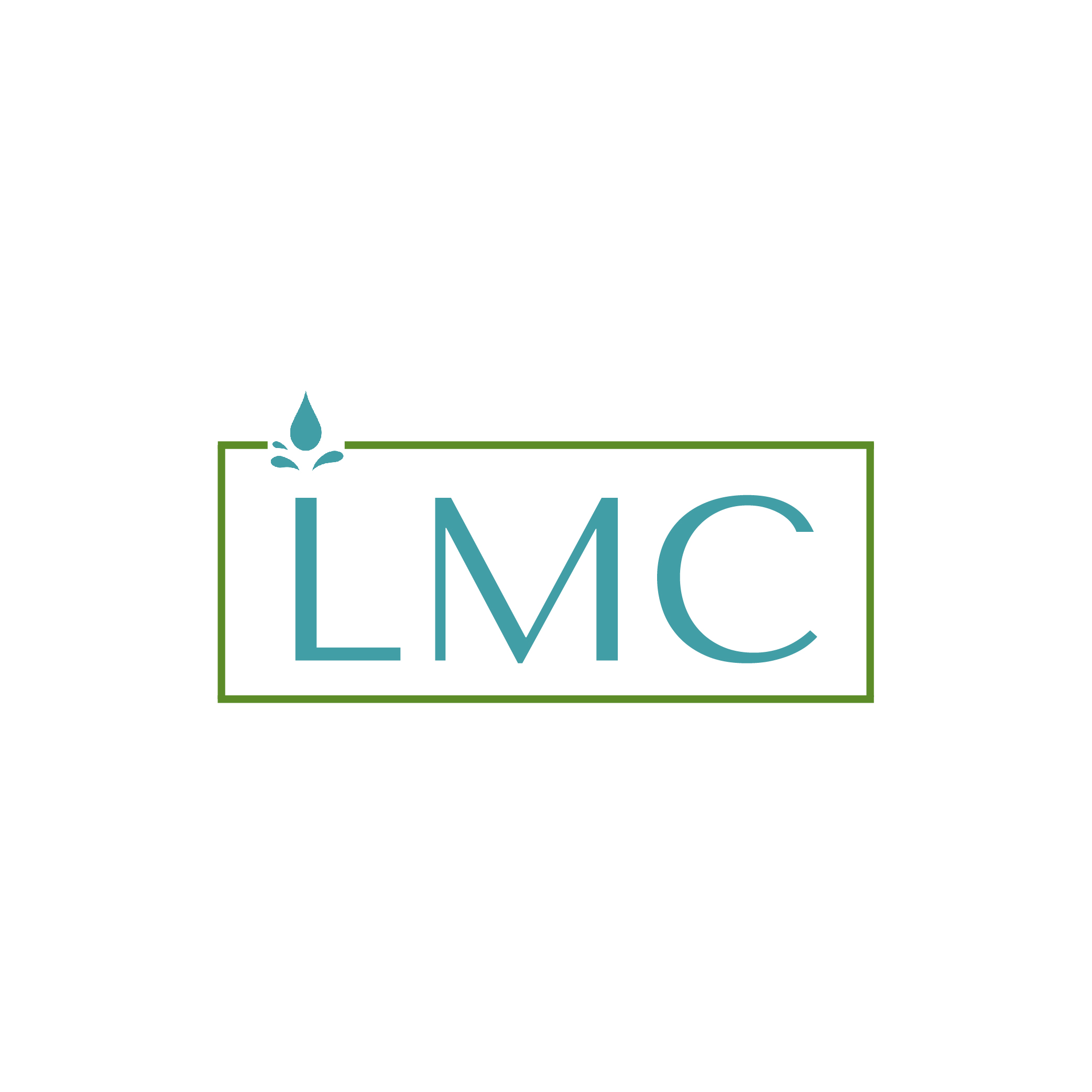 LMC Box.jpg
