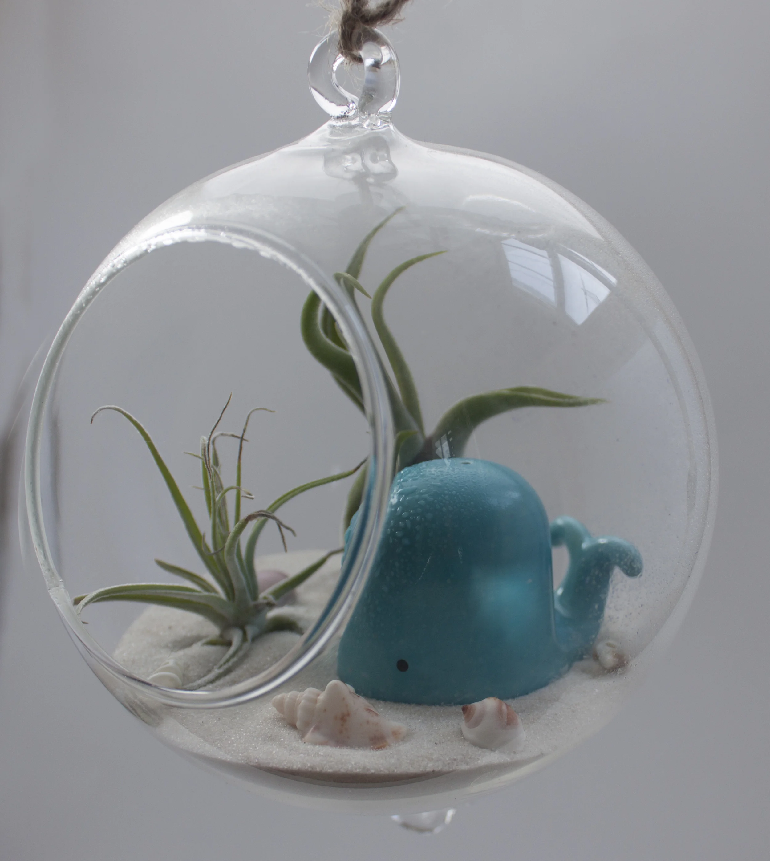 Whale hanging side 2.jpg