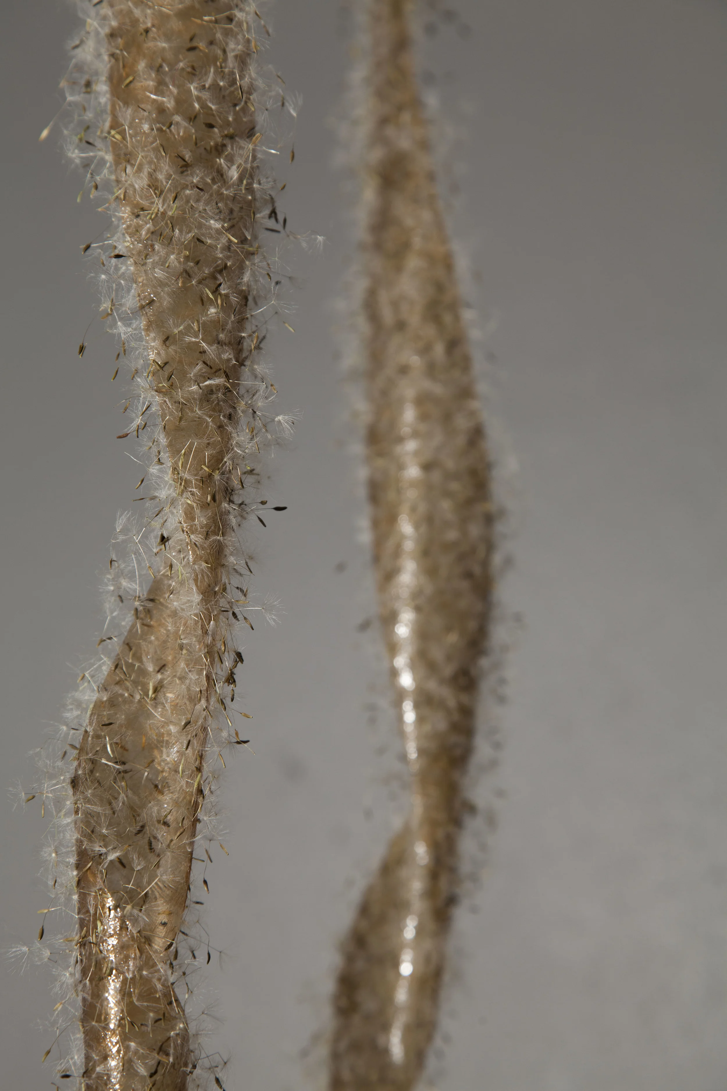 Wishing - Detail image