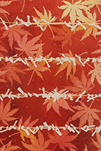 Wishing in Japan - Autumn