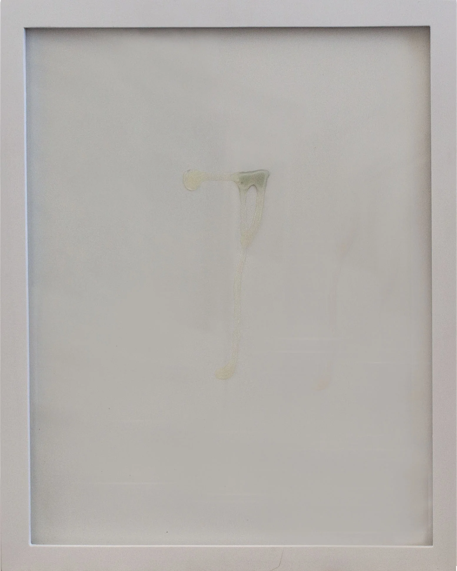 Portrait of a Tear
