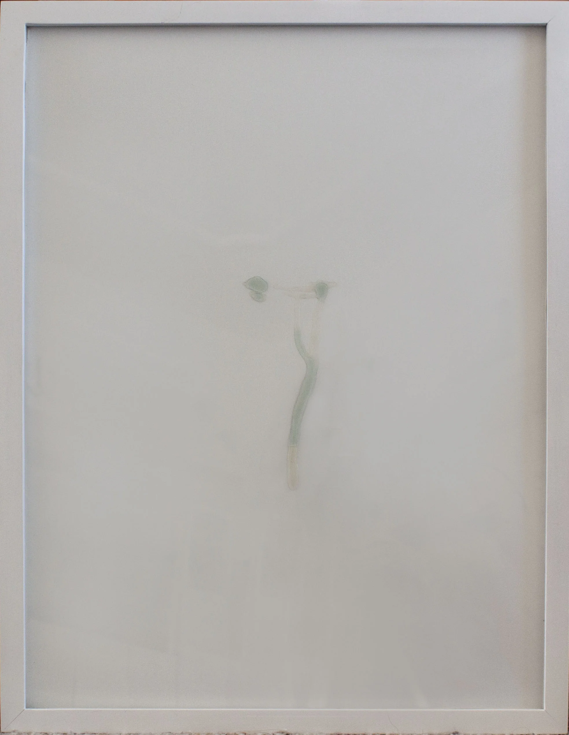 Portrait of a Tear