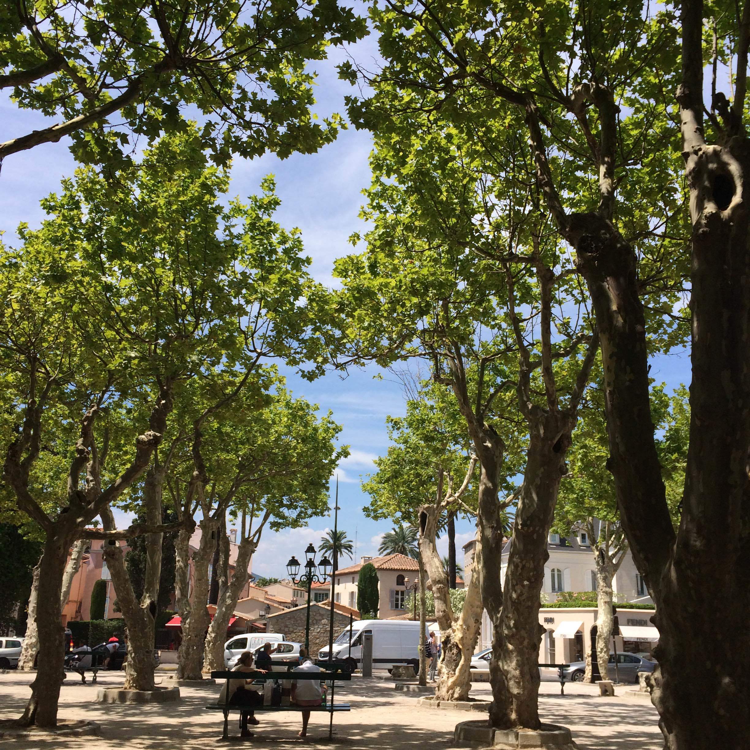 Place des Lices - St. Tropez - Côte d'Azur - South of France (French Riviera)
