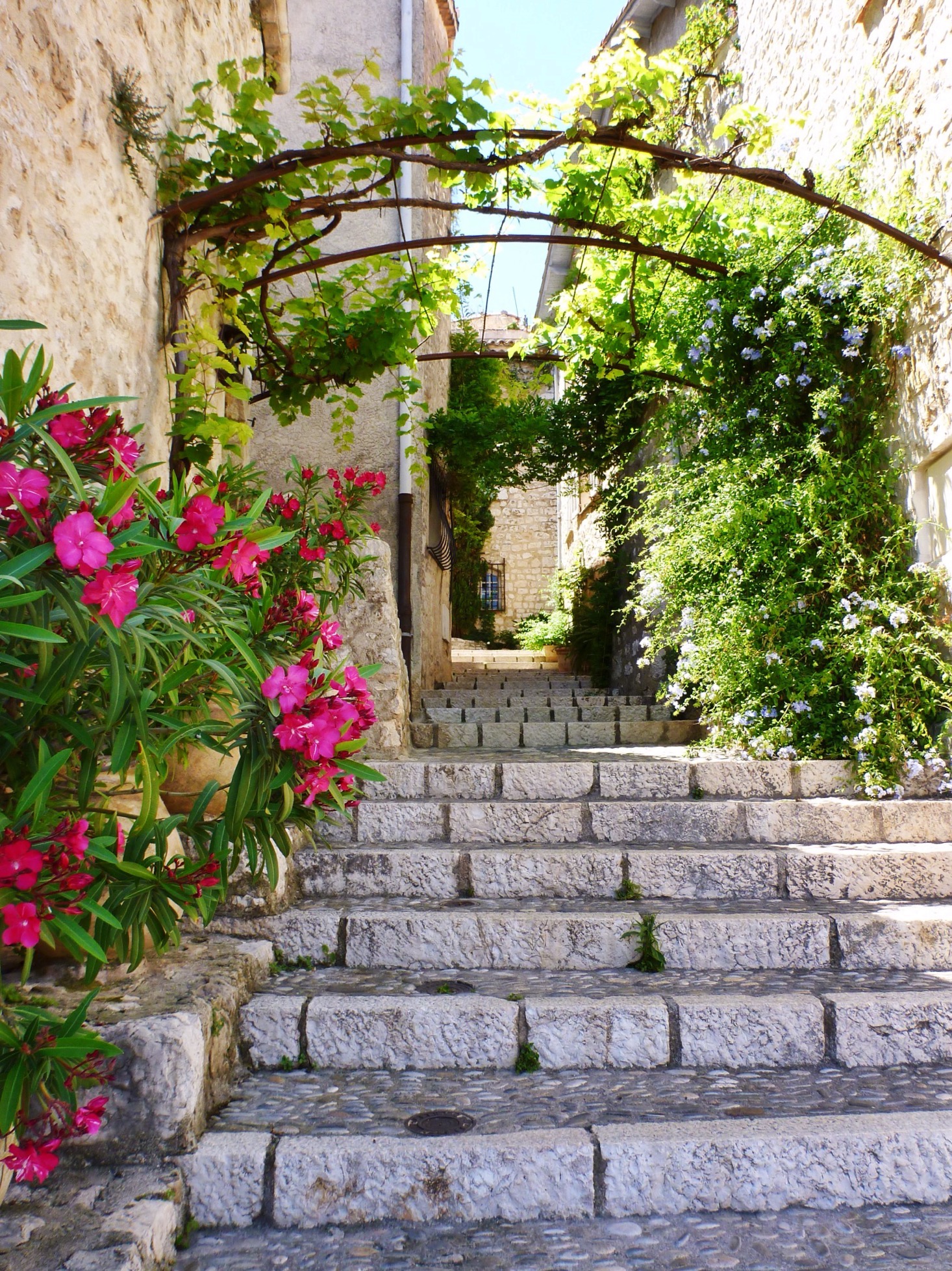 Cute Staircase - St. Paul de Vence - Côte d'Azur - South of France (French Riviera)