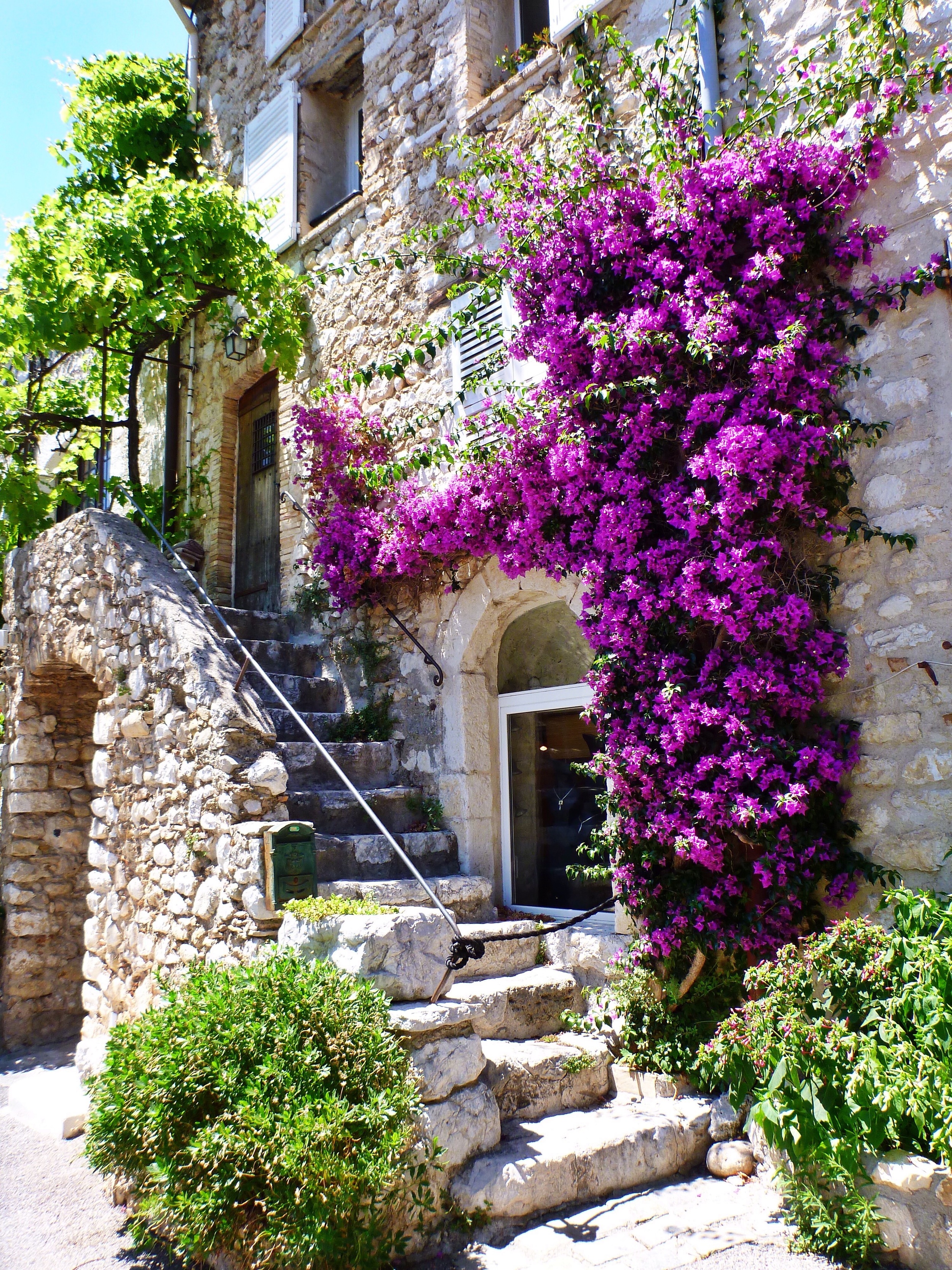 Old Building and flowers - St. Paul de Vence - Côte d'Azur - South of France (French Riviera)