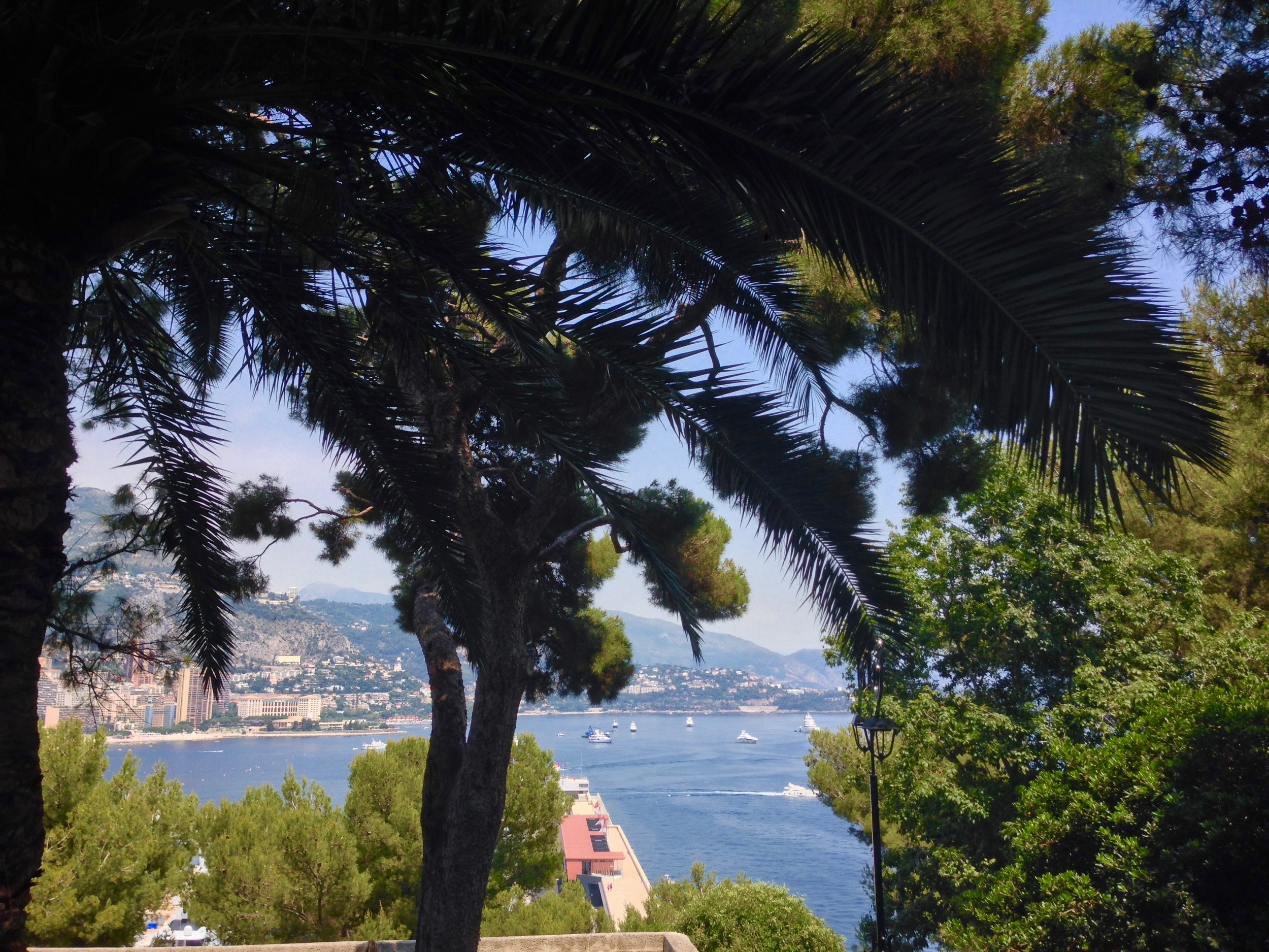 Panoramic View from the Top of the hill - Monaco - Côte d'Azur - South of France (French Riviera)