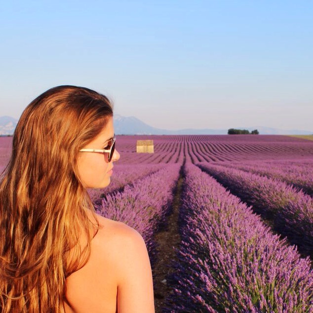 Brunette Girl at Sunset in the Lavender Fields - Valensole - Provence - French Riviera - South of France