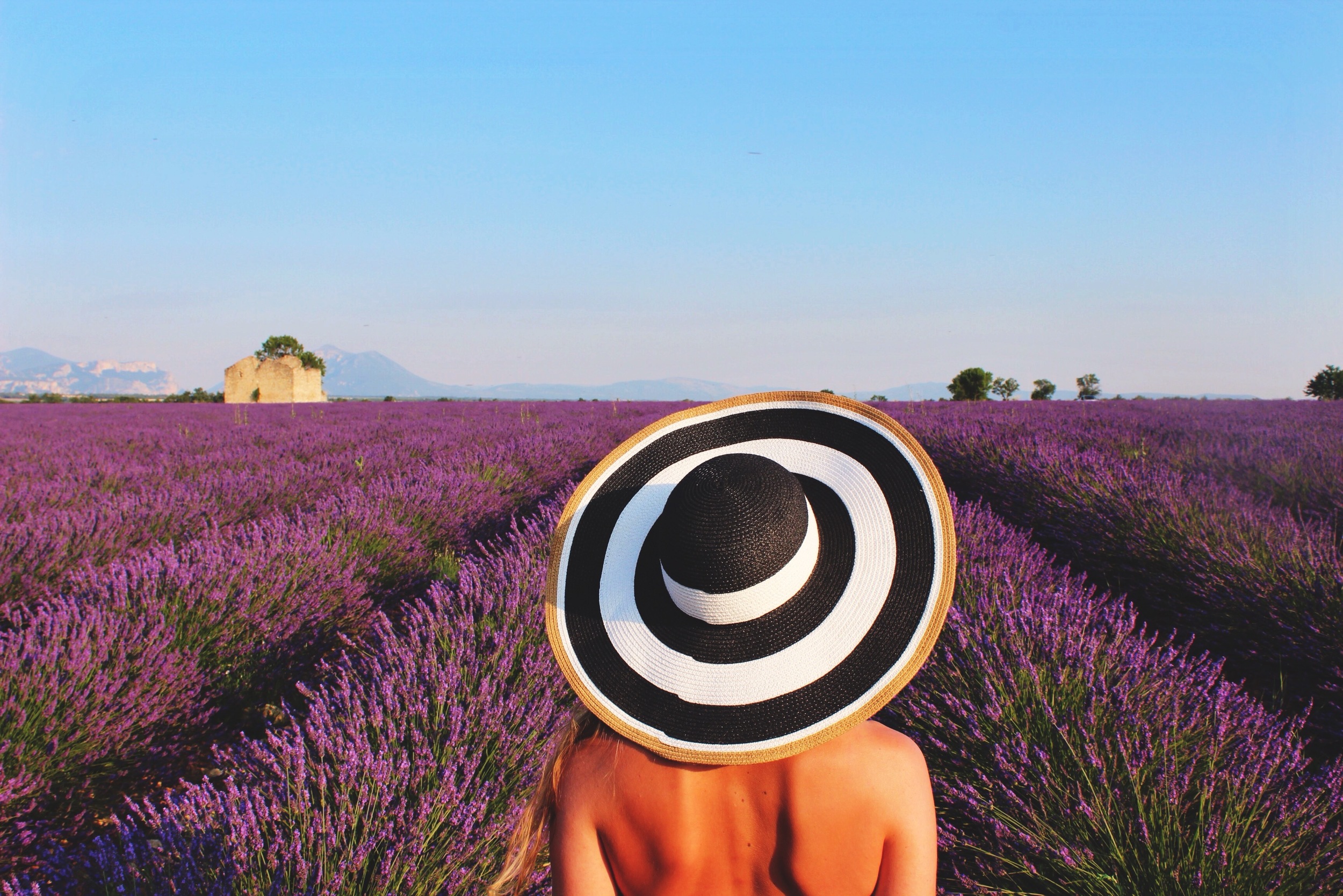 Girl wearing Hat at Sunset in the Lavender Fields - Valensole - Provence - French Riviera - South of France