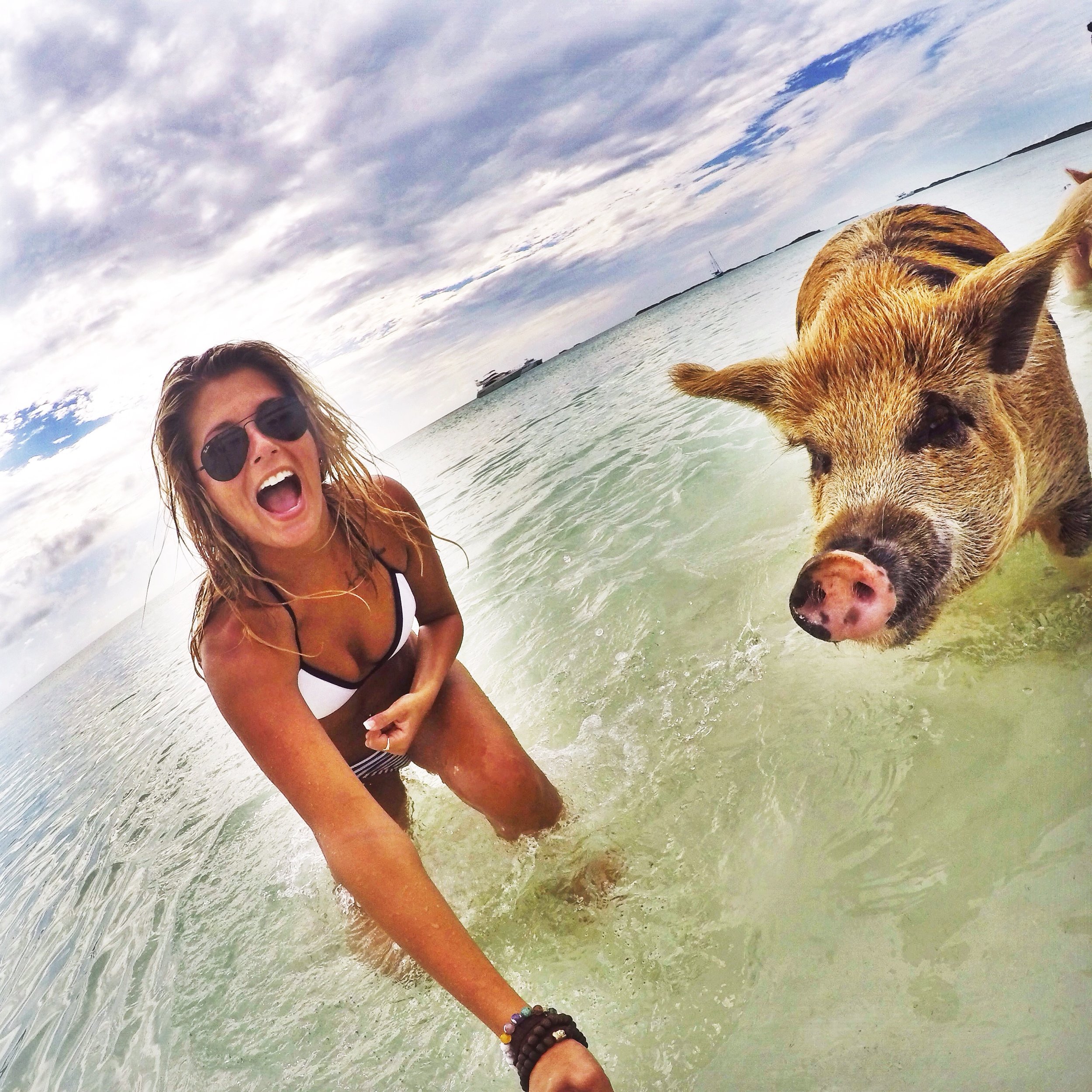 Pig Island - Bahamas