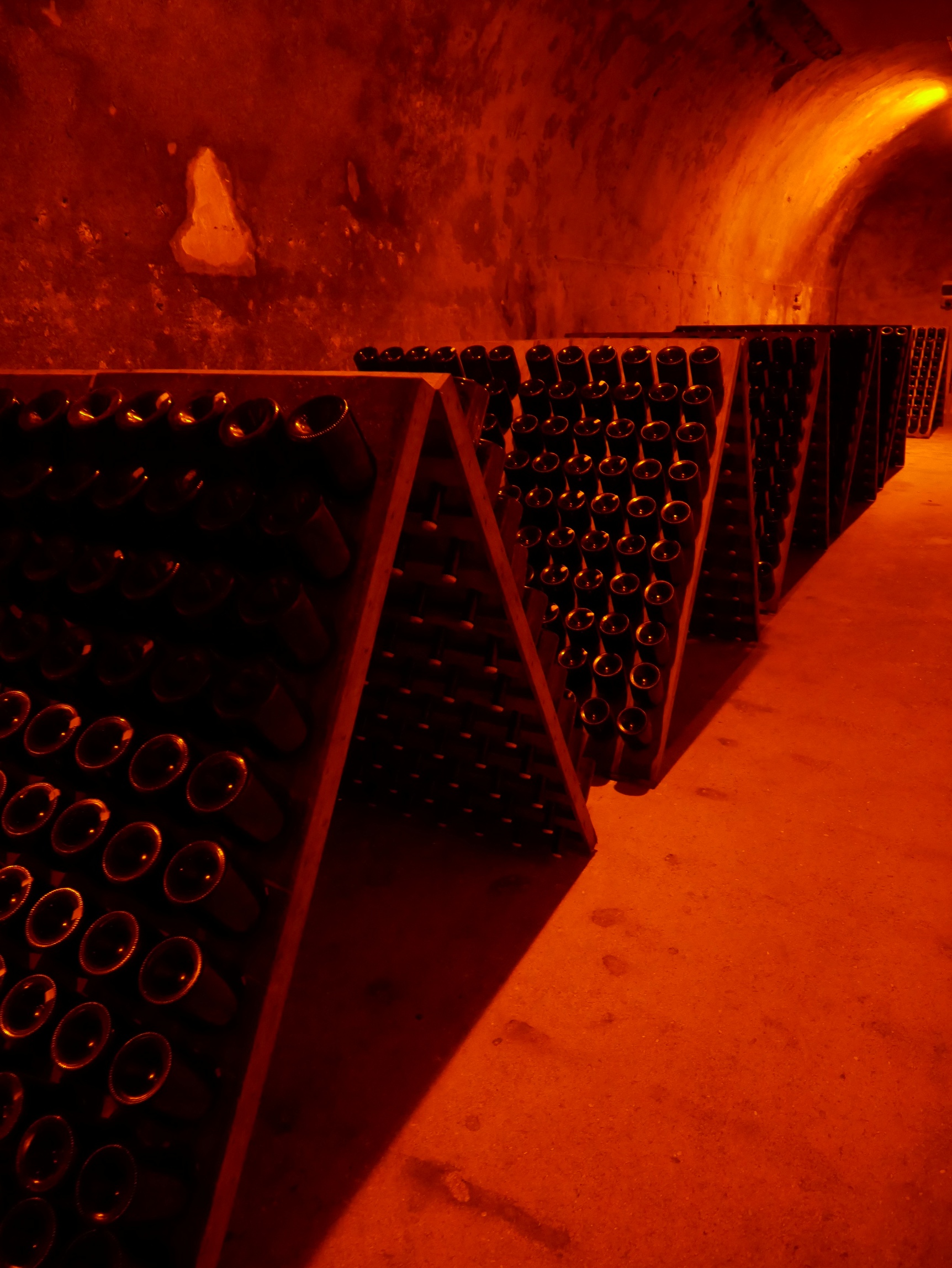 Taittinger Caves and Vineyard Visit - Reims - Champagne Region - France