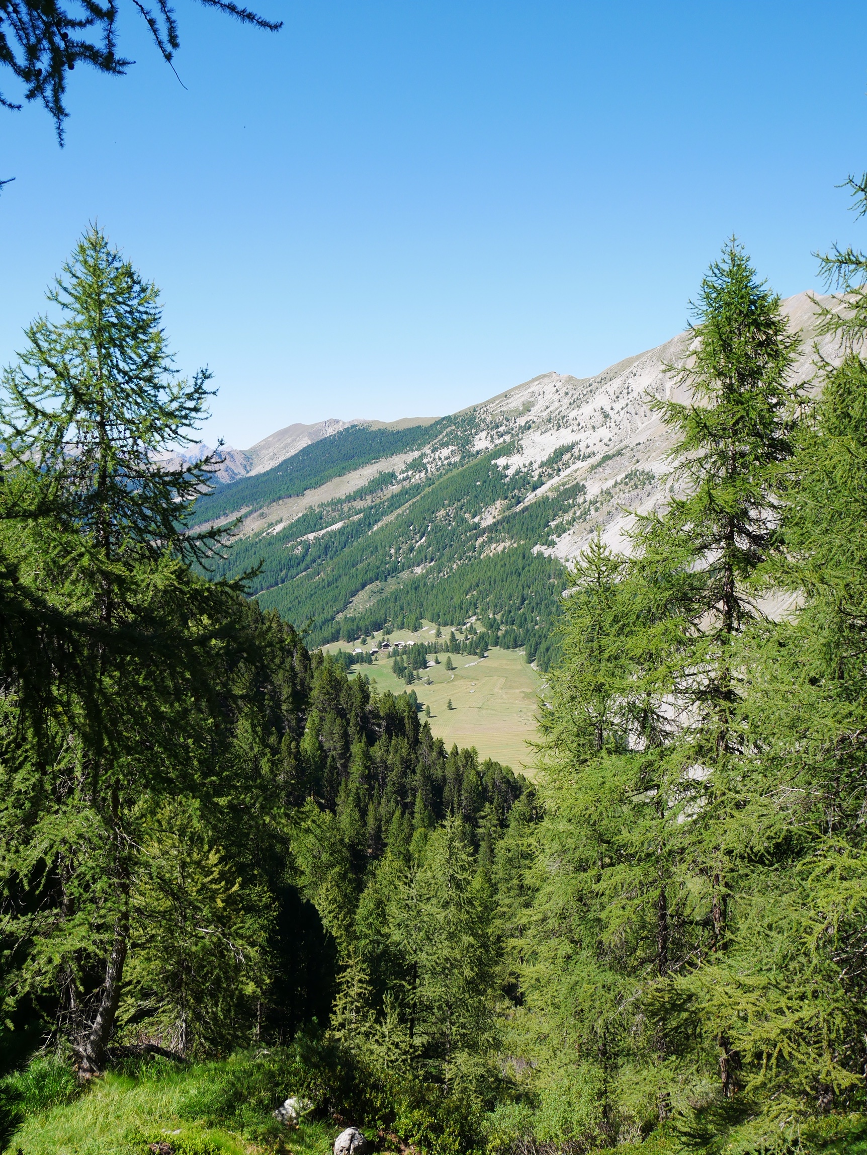 Forest Views - Hike to Lac Sainte-Anne - French Alps - France