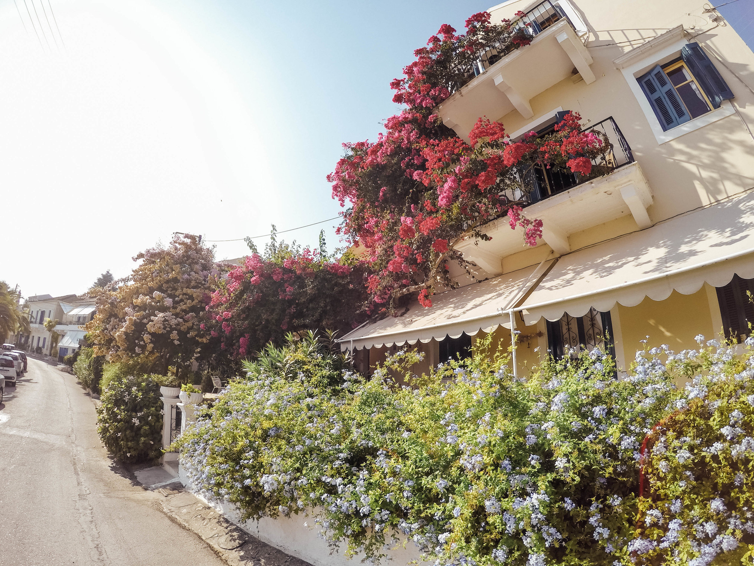 More Flowers, Fiscardo - Kefalonia Island - Greece