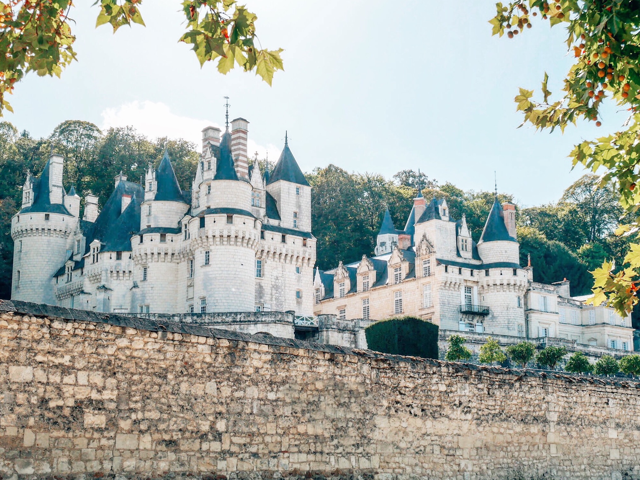Dream Castle, Disney Inspired Sleeping Beauty - Chateau d'Azay-le-Rideau - Loire Valley - France