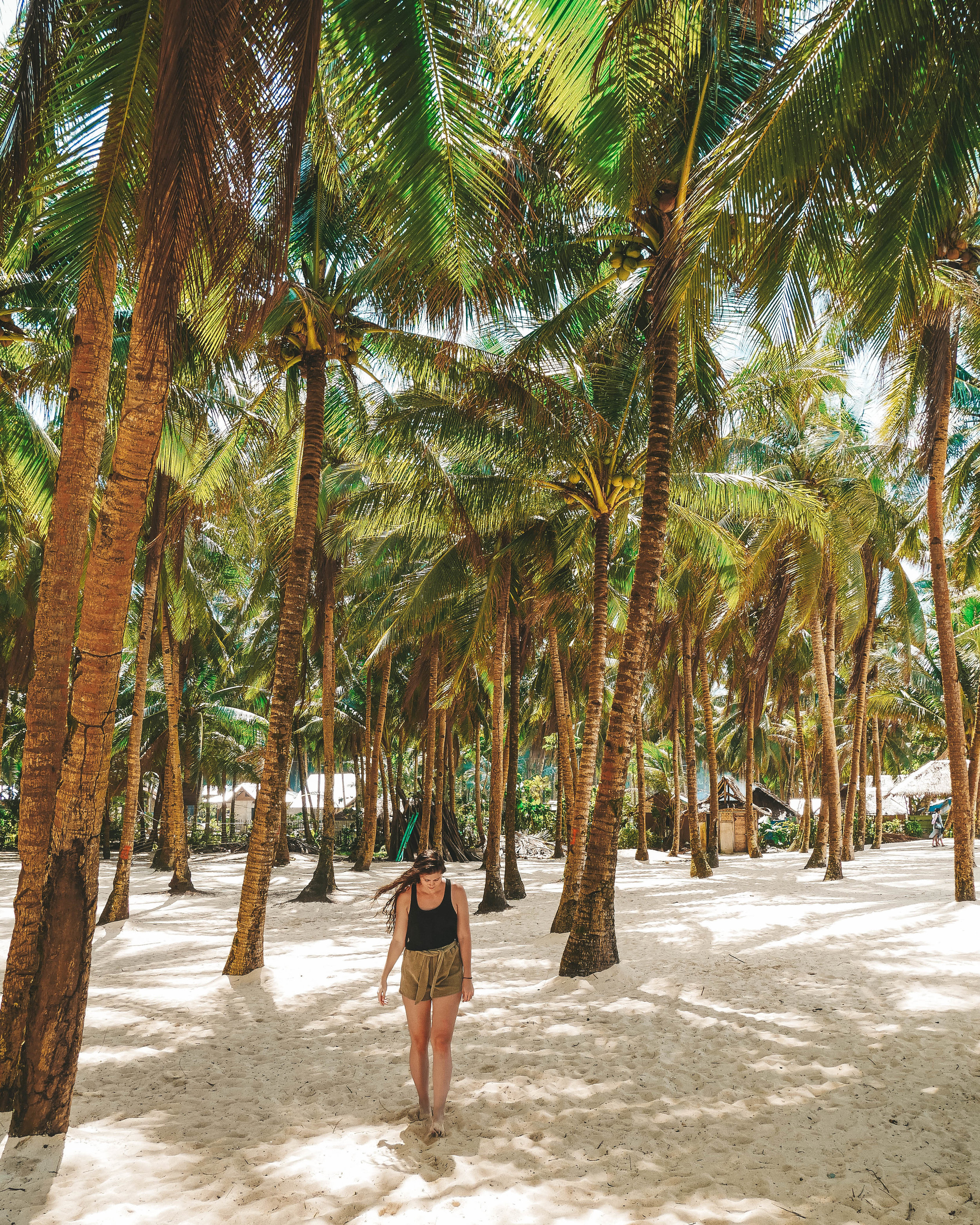 Palm Trees - Daku Island - Siargao - Philippines