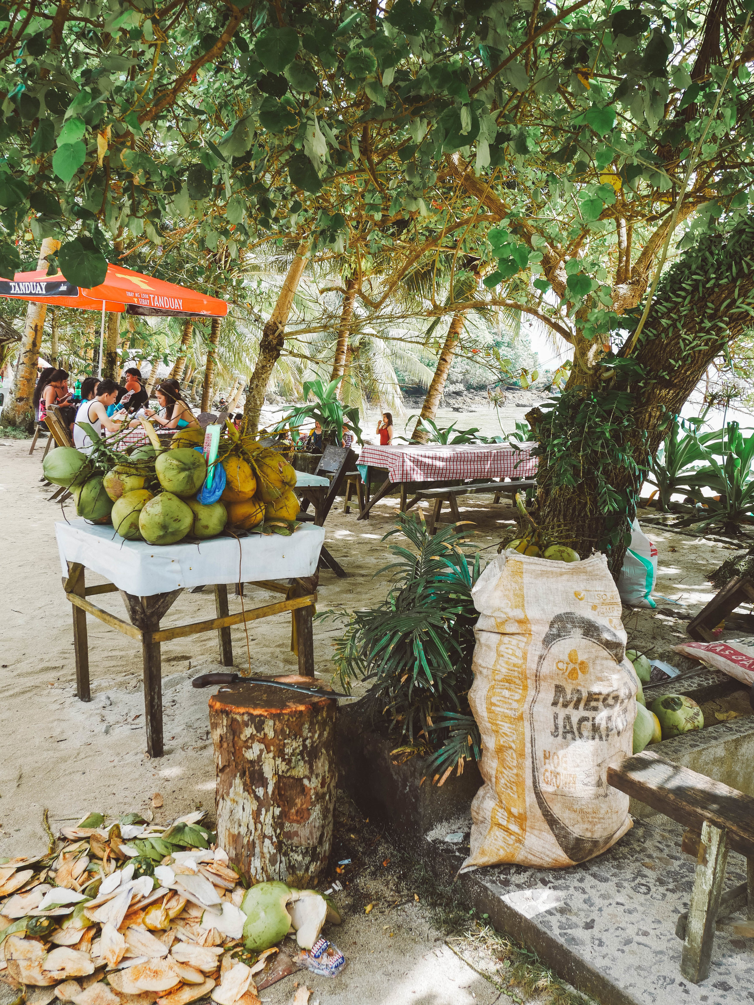 Anybody wants fresh coconut water? - Magpupungko Beach - Siargao - Philippines