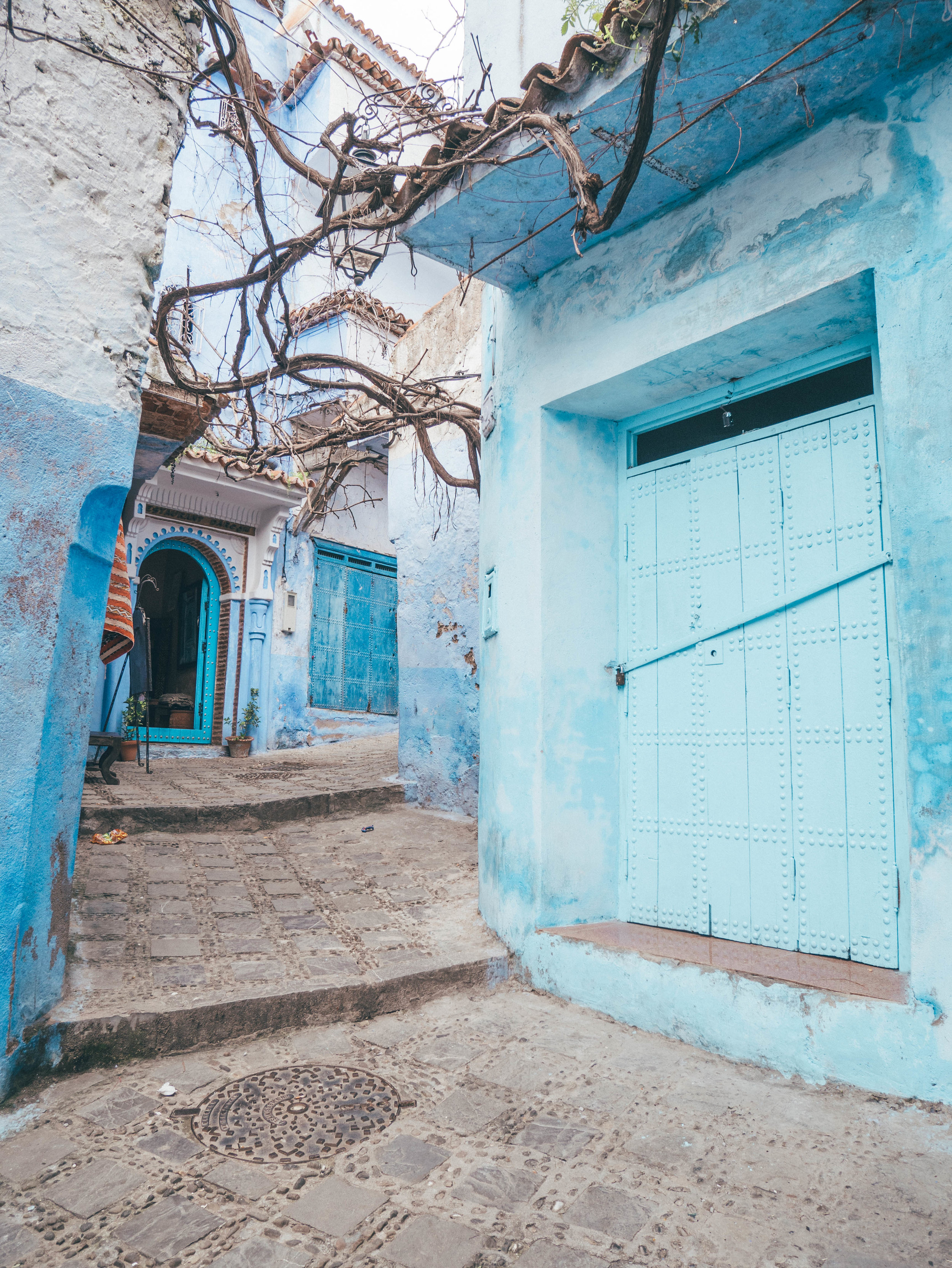 Yes, more blue! - Chefchaouen - Morocco