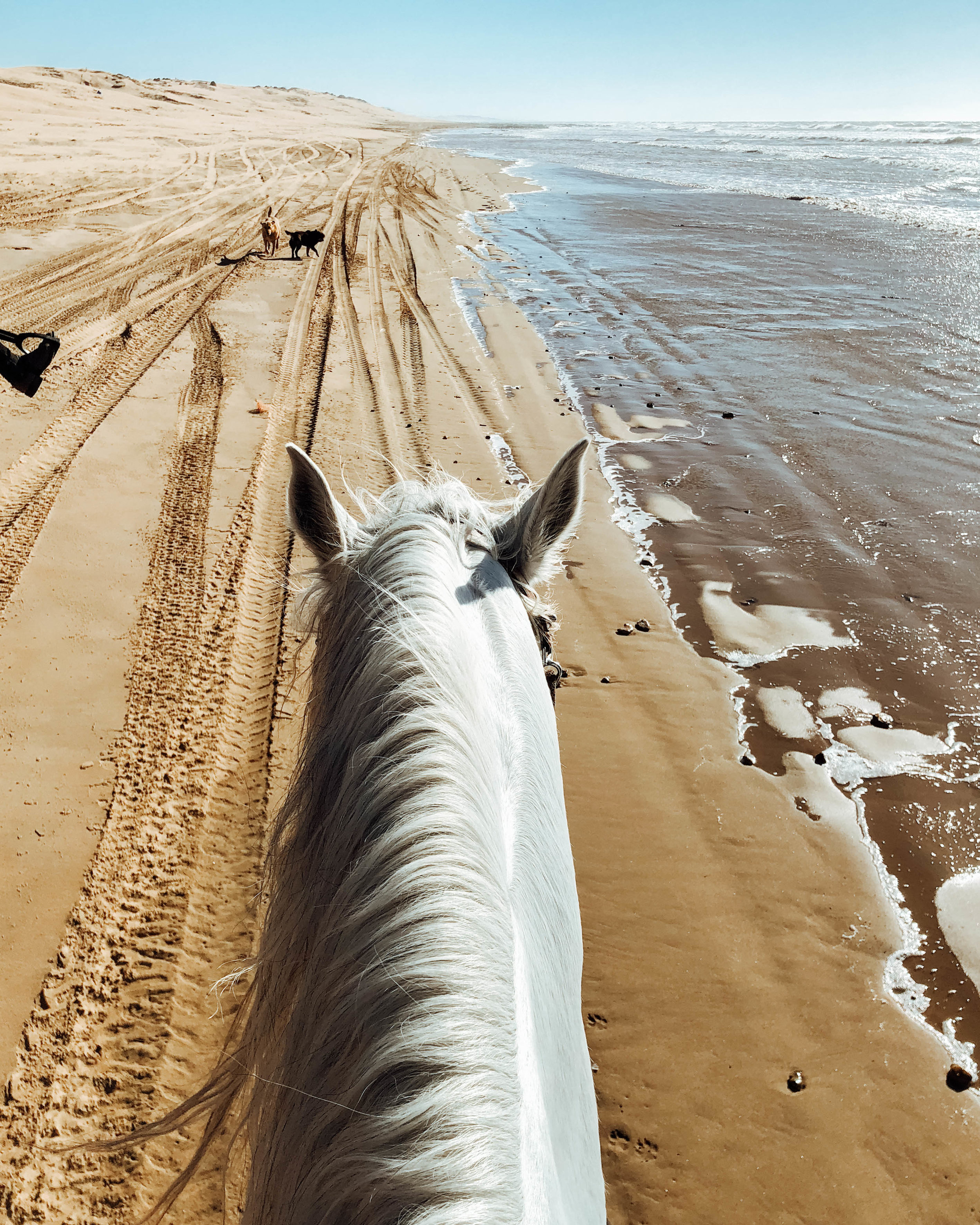Magical Horse Ride By the Beach - Essaouira - Morocco