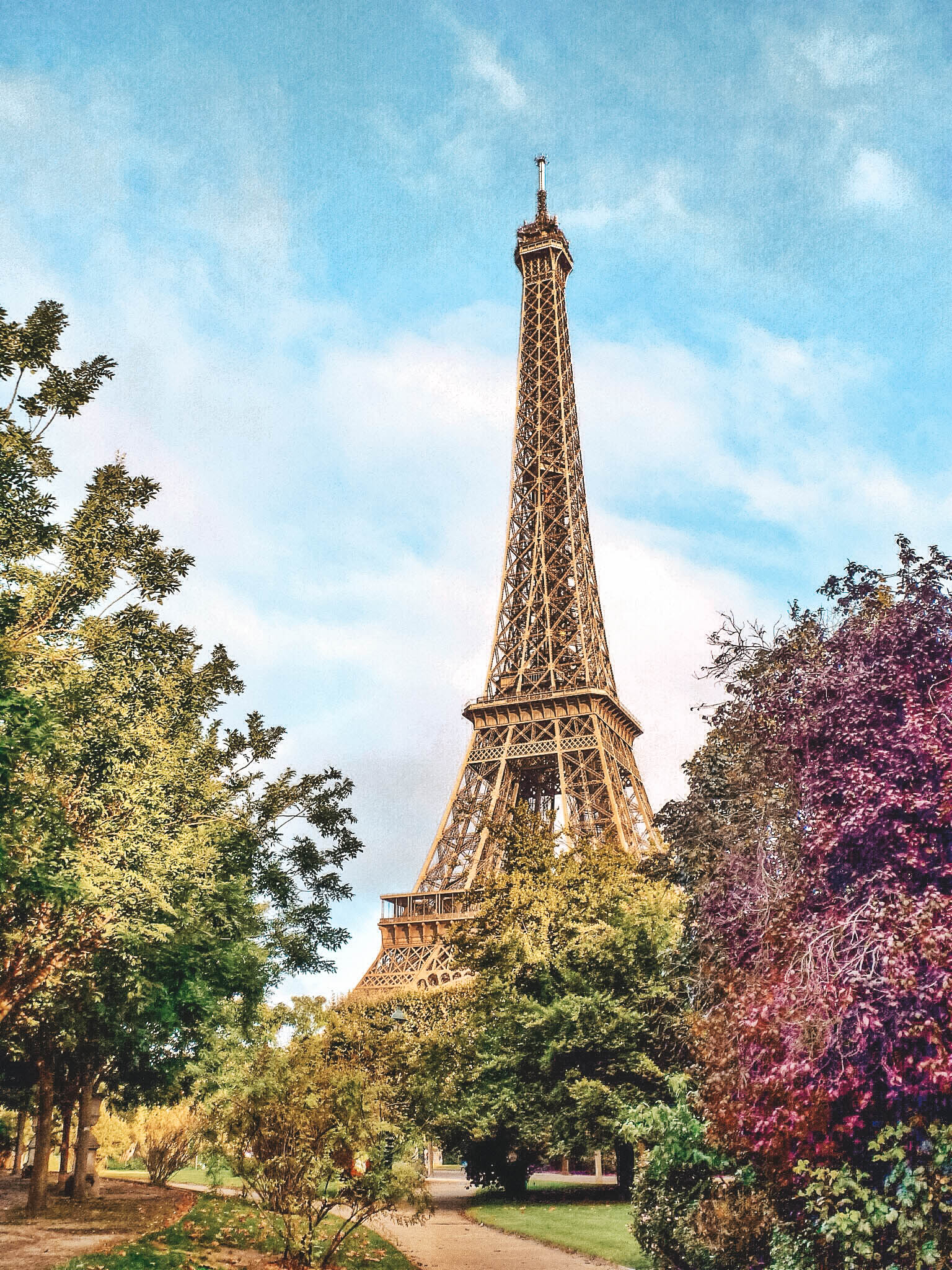 Champs-de-Mars Flower Trees - Eiffel Tower / Tour Eiffel - Paris - France