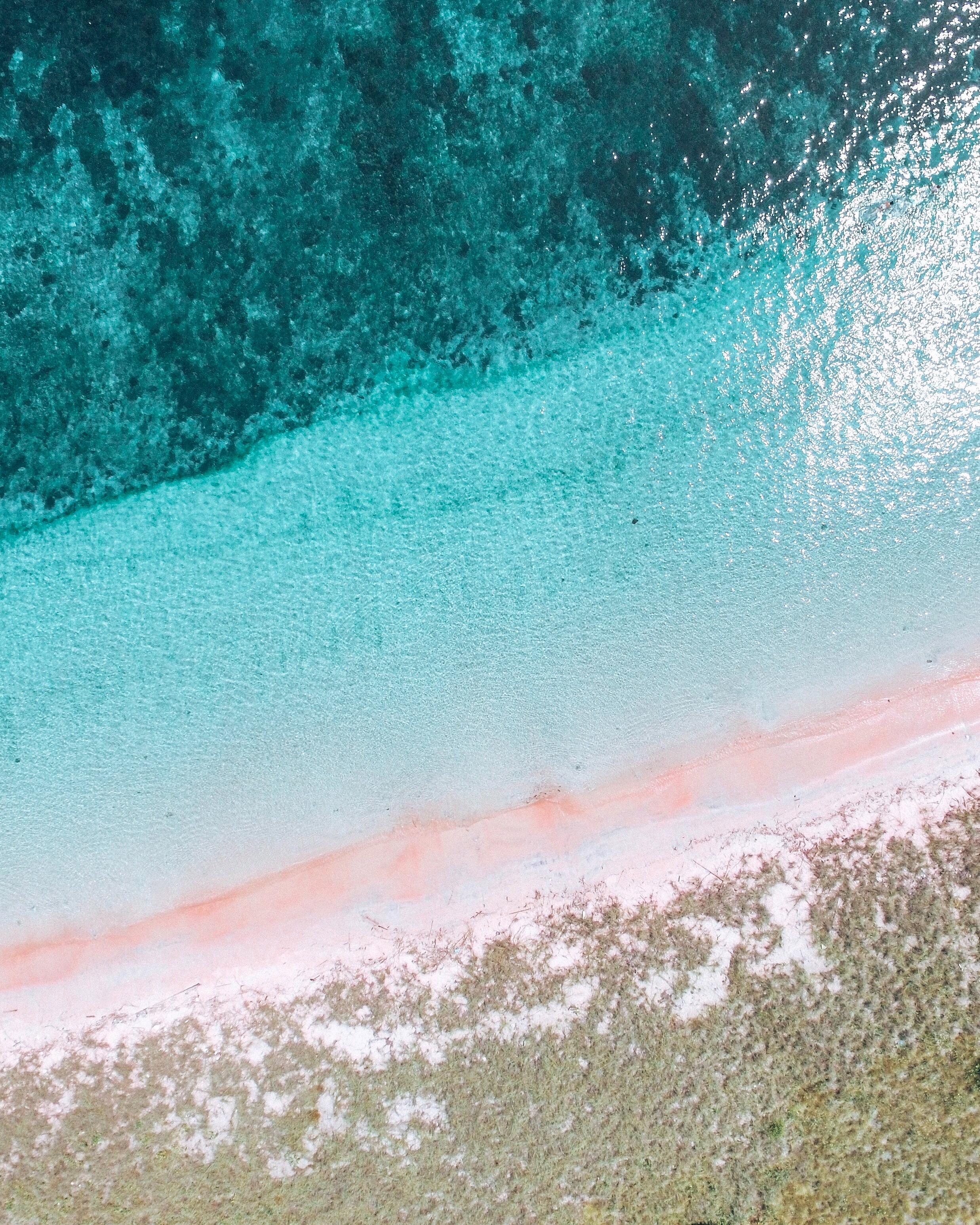 Pink Sand Beach &amp; Turquoise Water - Komodo Island - Flores - Indonesia