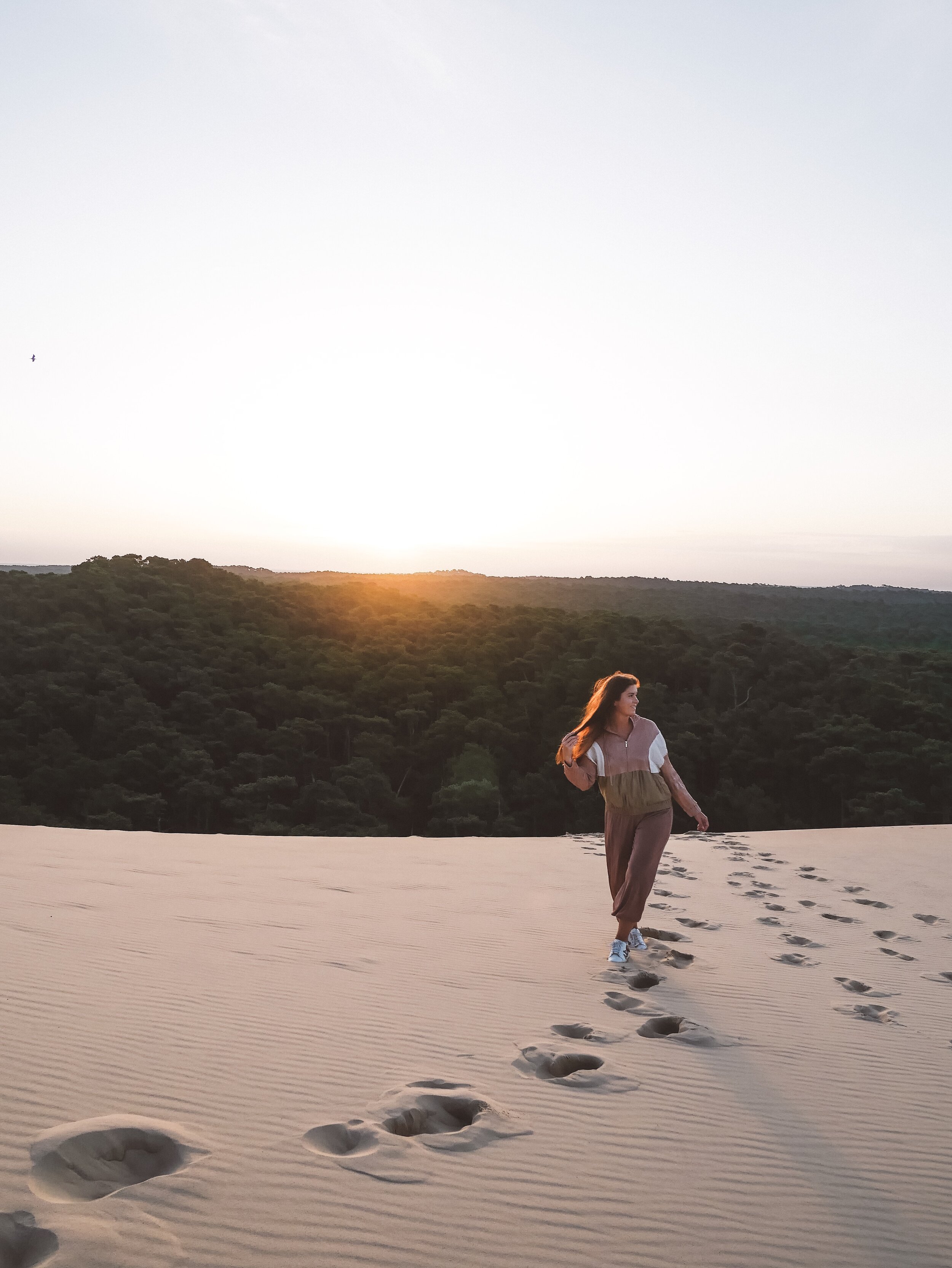 Dune du Pilat - Sunrise in the Sand Dunes - Bassin d'Arcachon - France