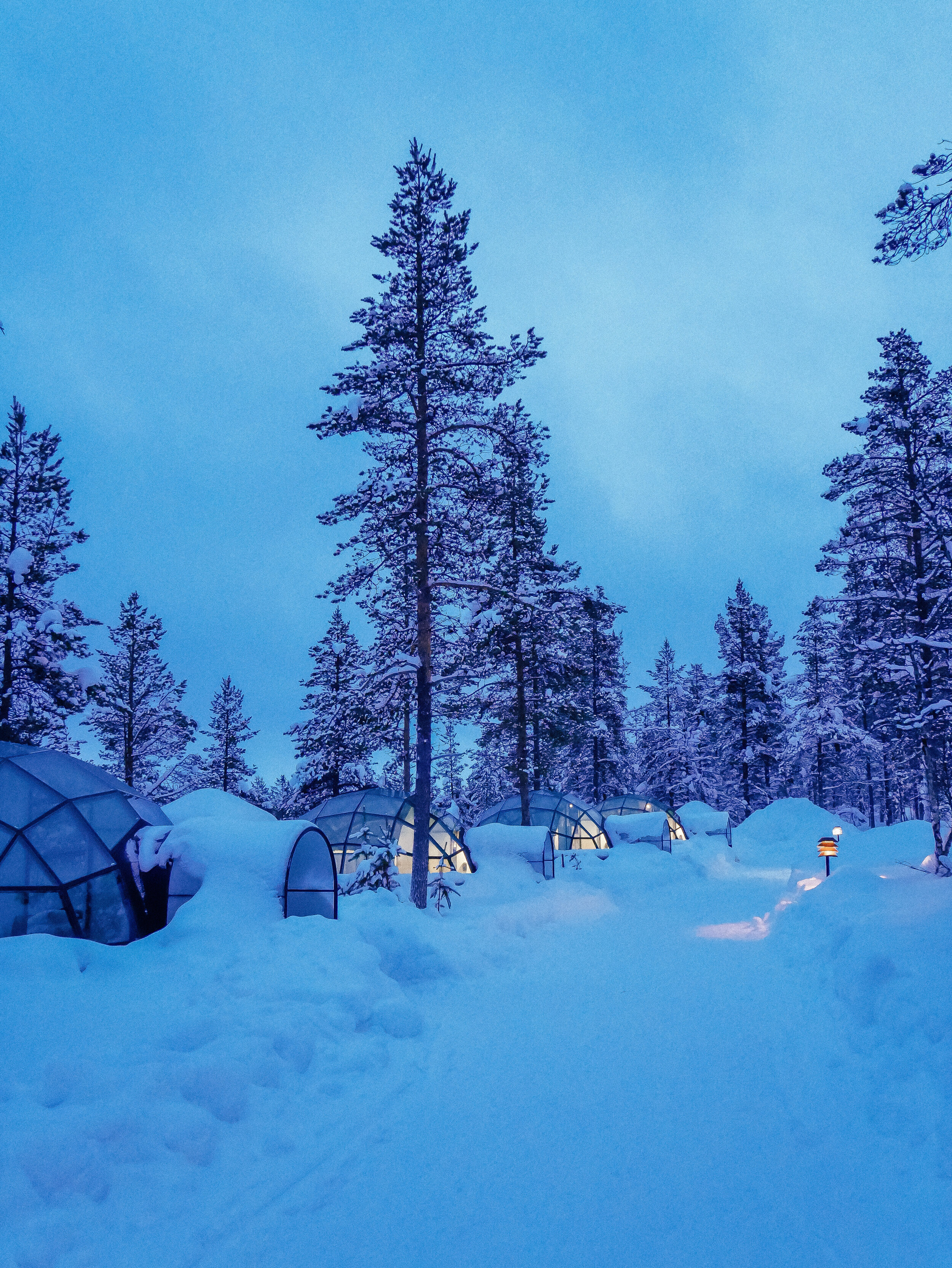 Kakslauttanen Arctic Resort - Glass Igloo and Trees - Lapland - Finland