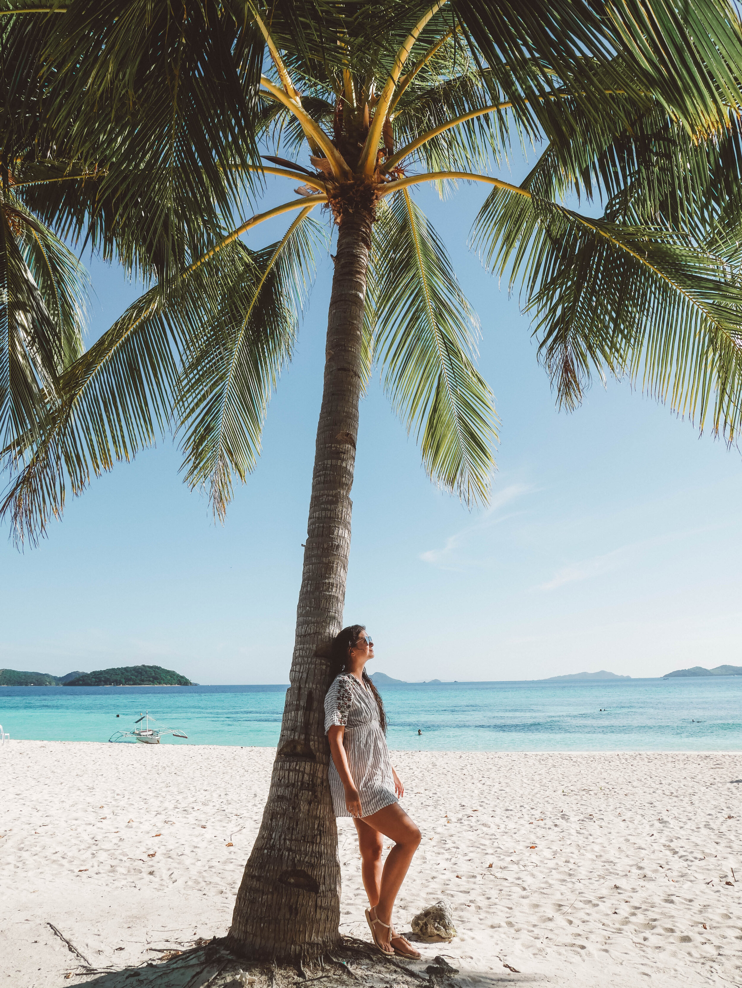 Malapascua Island Palm Tree - Coron - Philippines