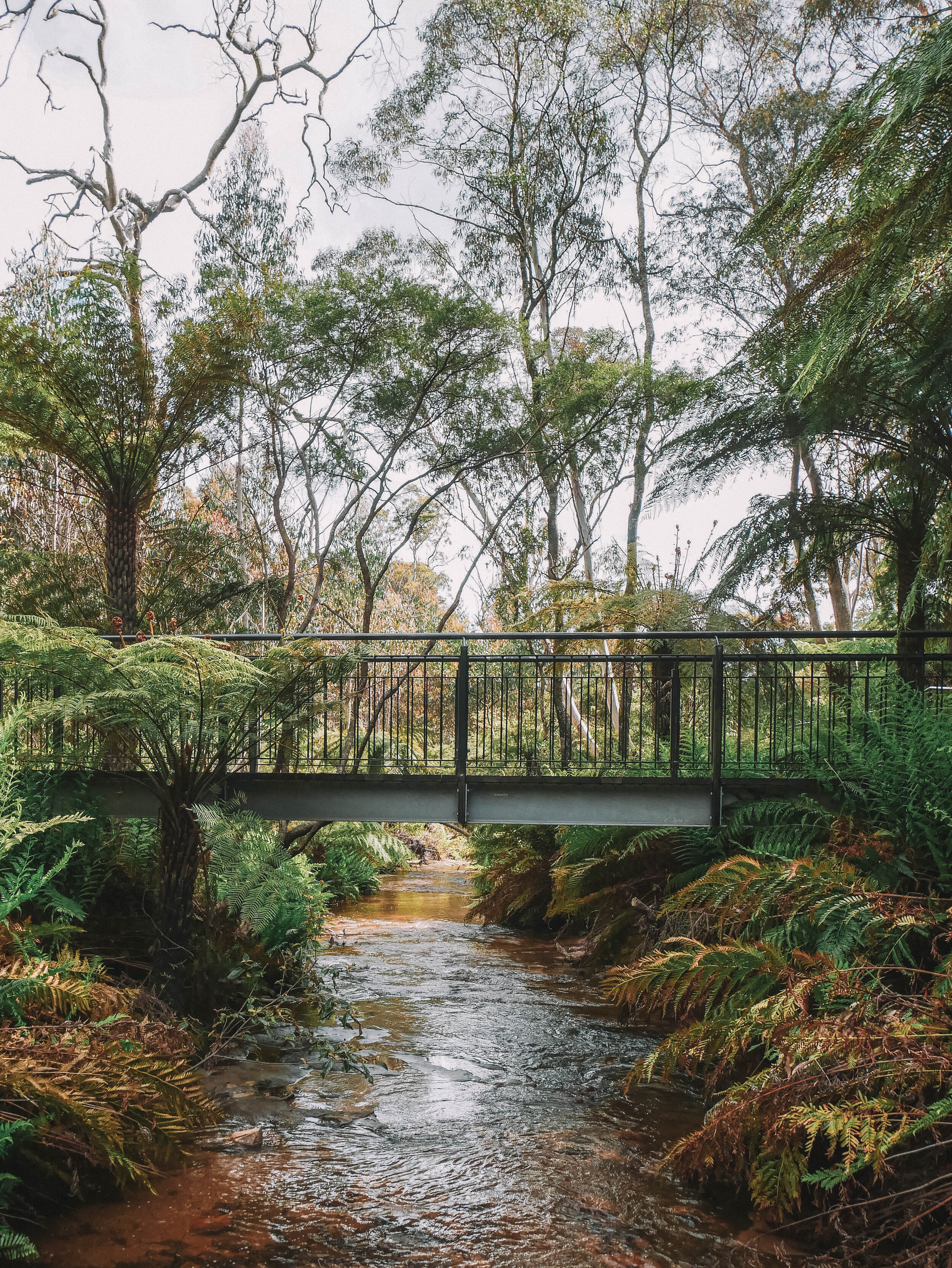 Katoomba River &amp; Bridge - Blue Mountains - New South Wales (NSW) - Australia