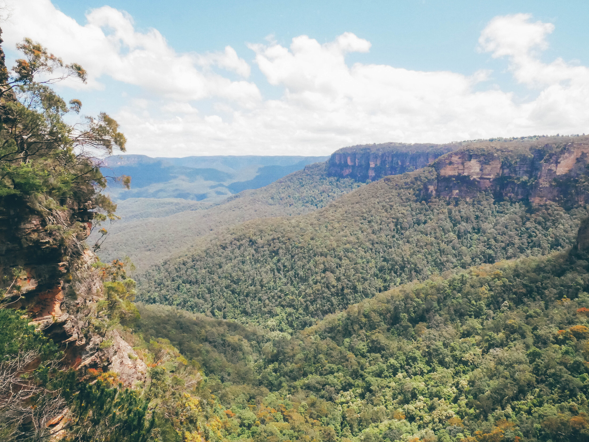 Views on the Blue Mountains Valley from Wentworth Falls - Blue Mountains - New South Wales (NSW) - Australia