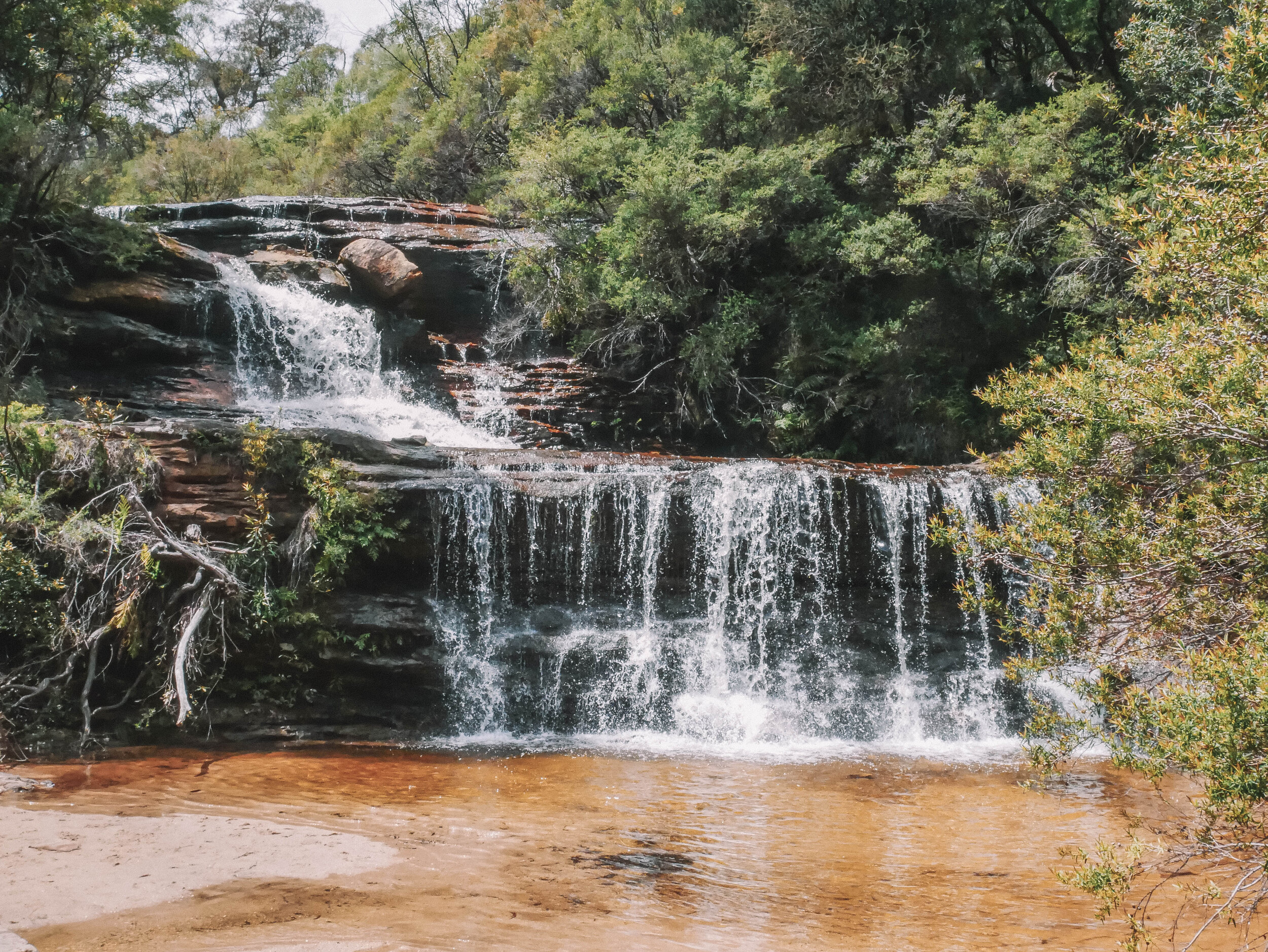 Mini waterfalls - Wentworth Falls - Blue Mountains - New South Wales (NSW) - Australia
