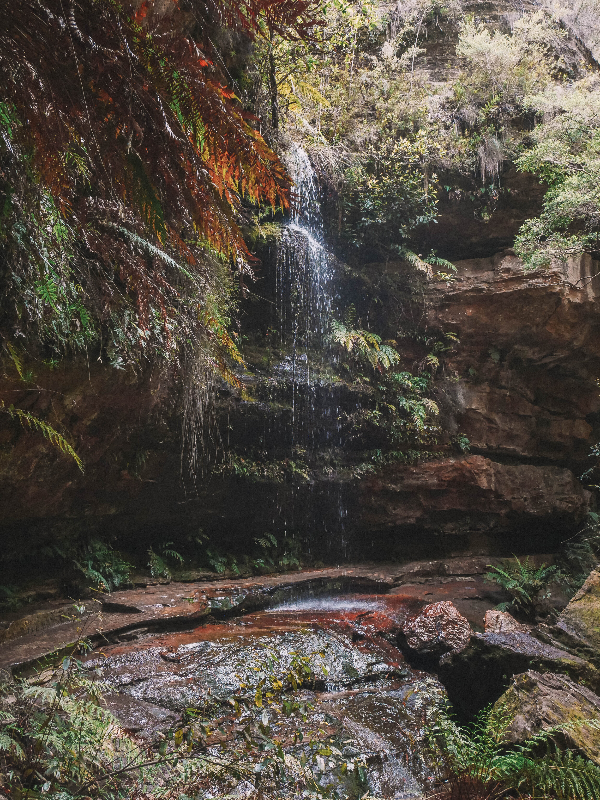 Mini waterfall - Grand Canyon Walking Track - Blue Mountains - New South Wales (NSW) - Australia
