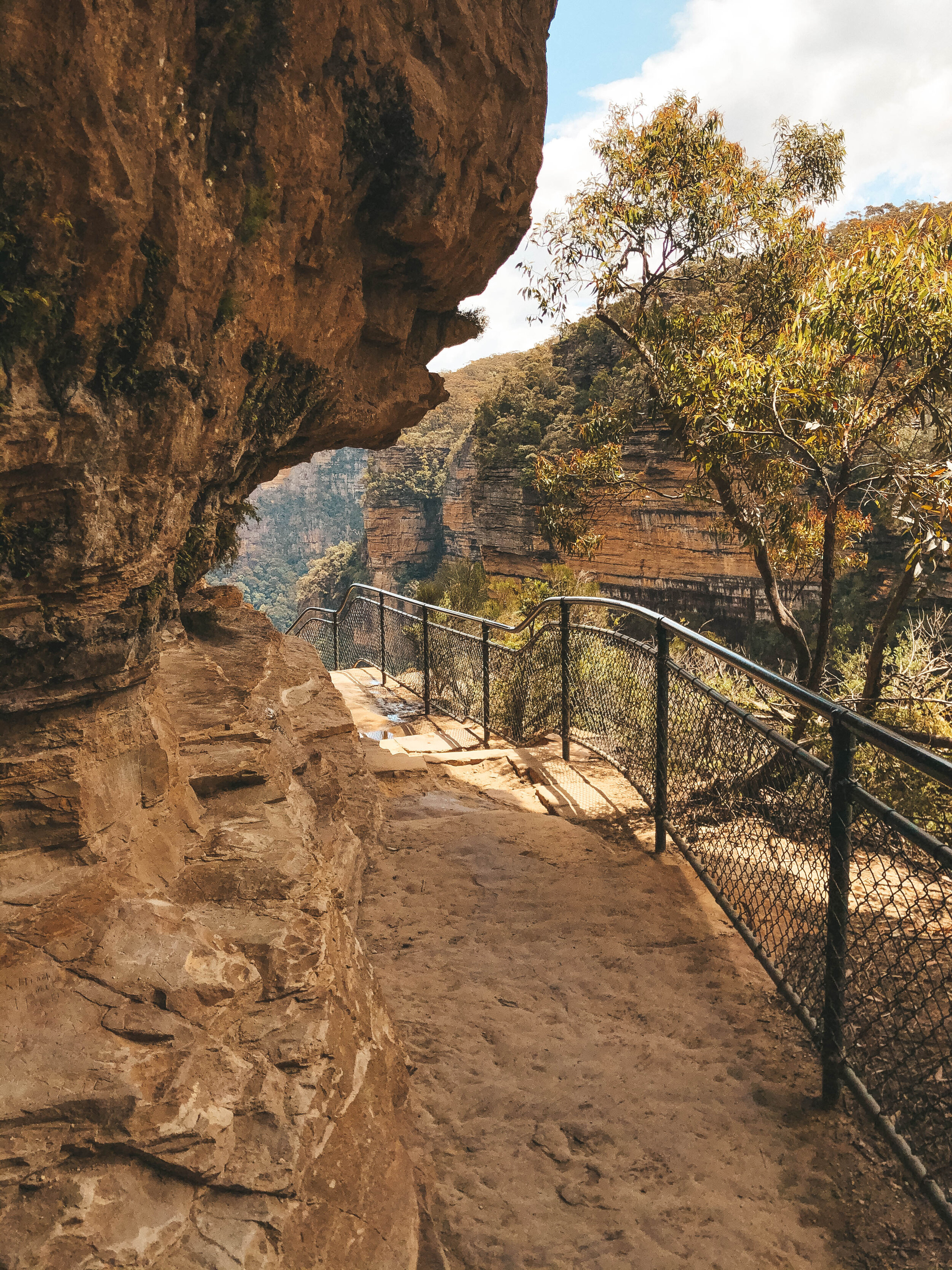 Rocky Cliffs - Grand Canyon Walking Track - Blue Mountains - New South Wales (NSW) - Australia