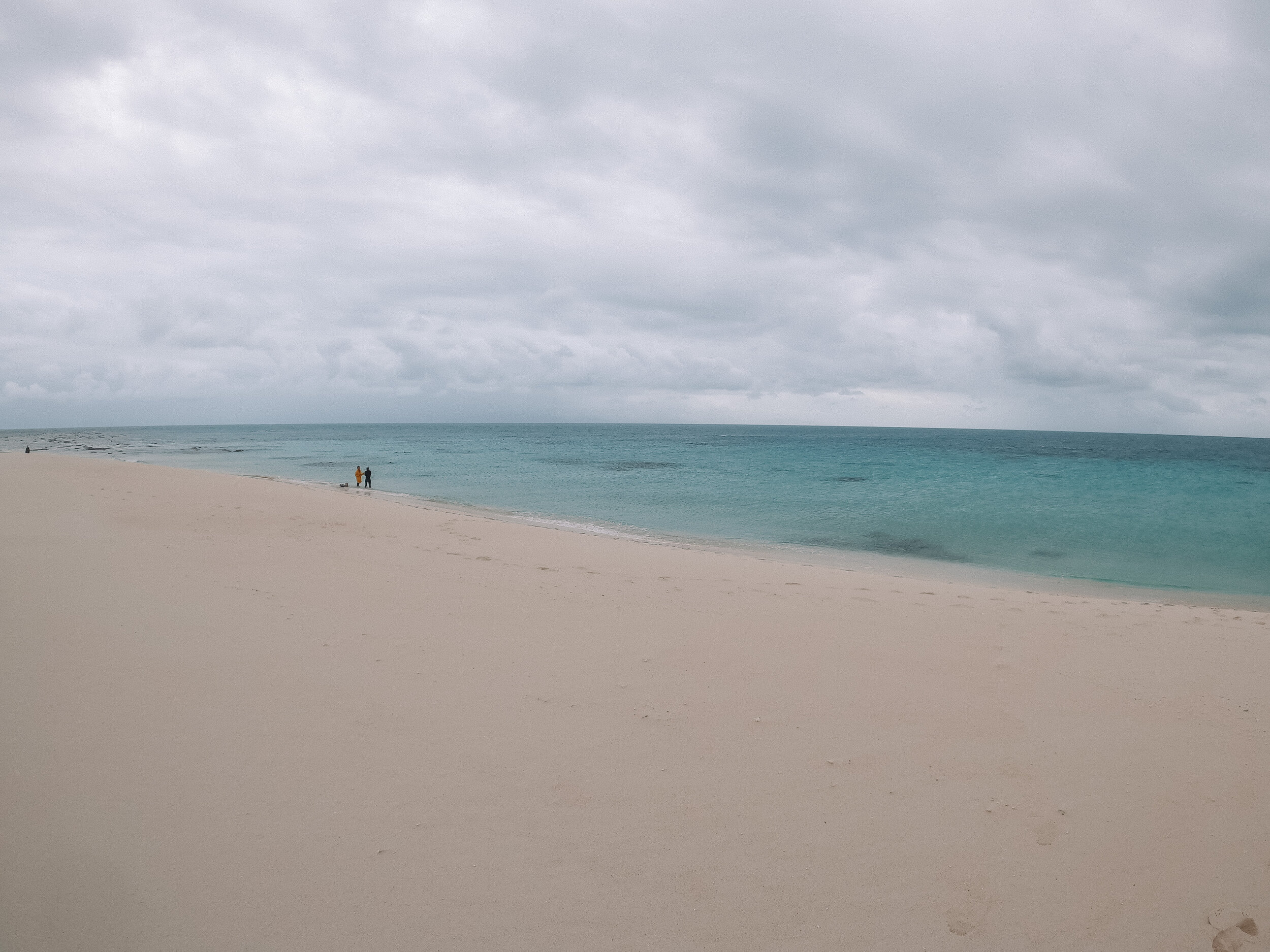 Le banc de sable - Mackay Reef - Cape Tribulation - Tropical North Queensland (QLD) - Australie