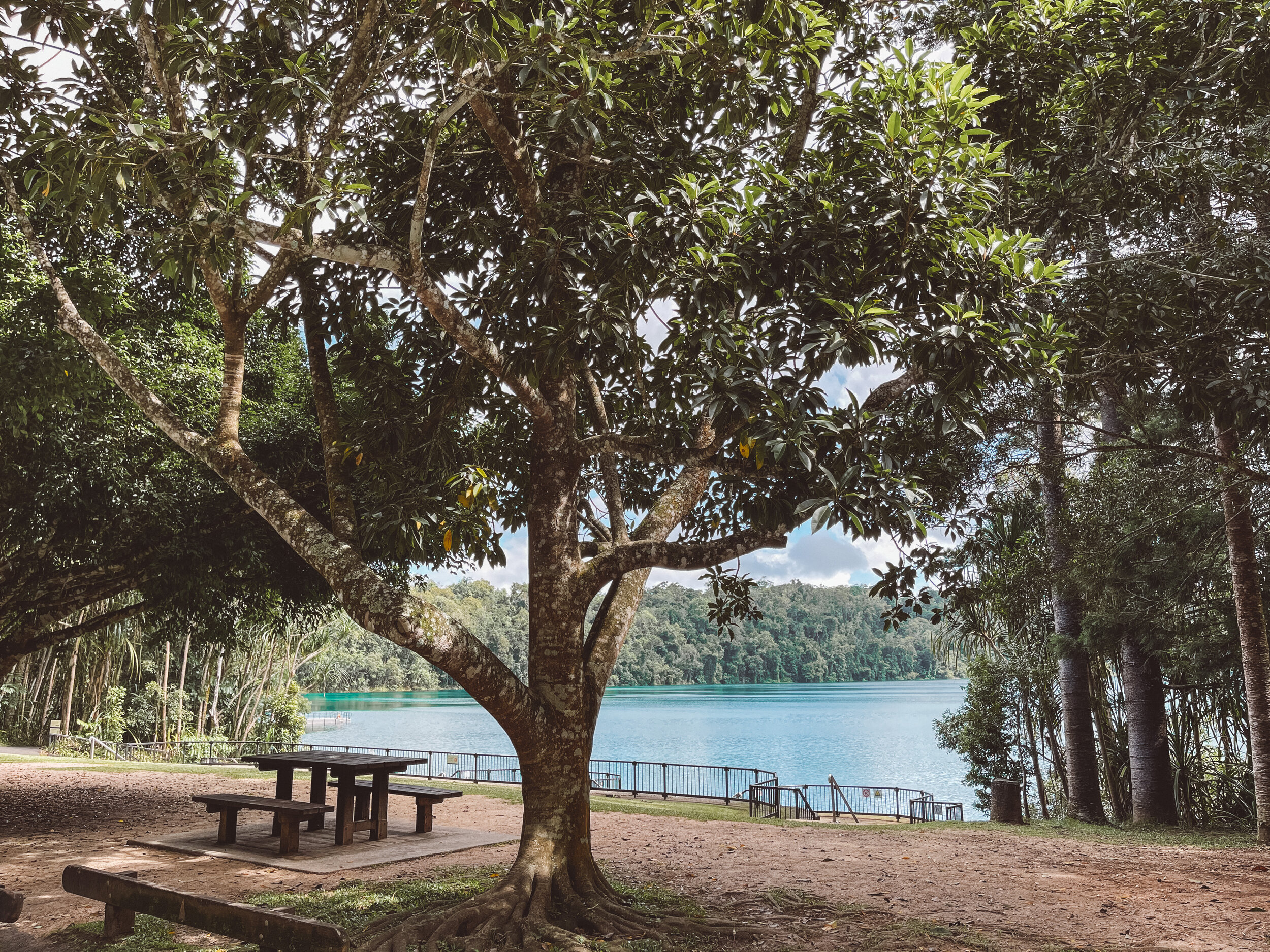 Table à pique-nique au Lac Eacham - Tropical North Queensland (QLD) - Australie