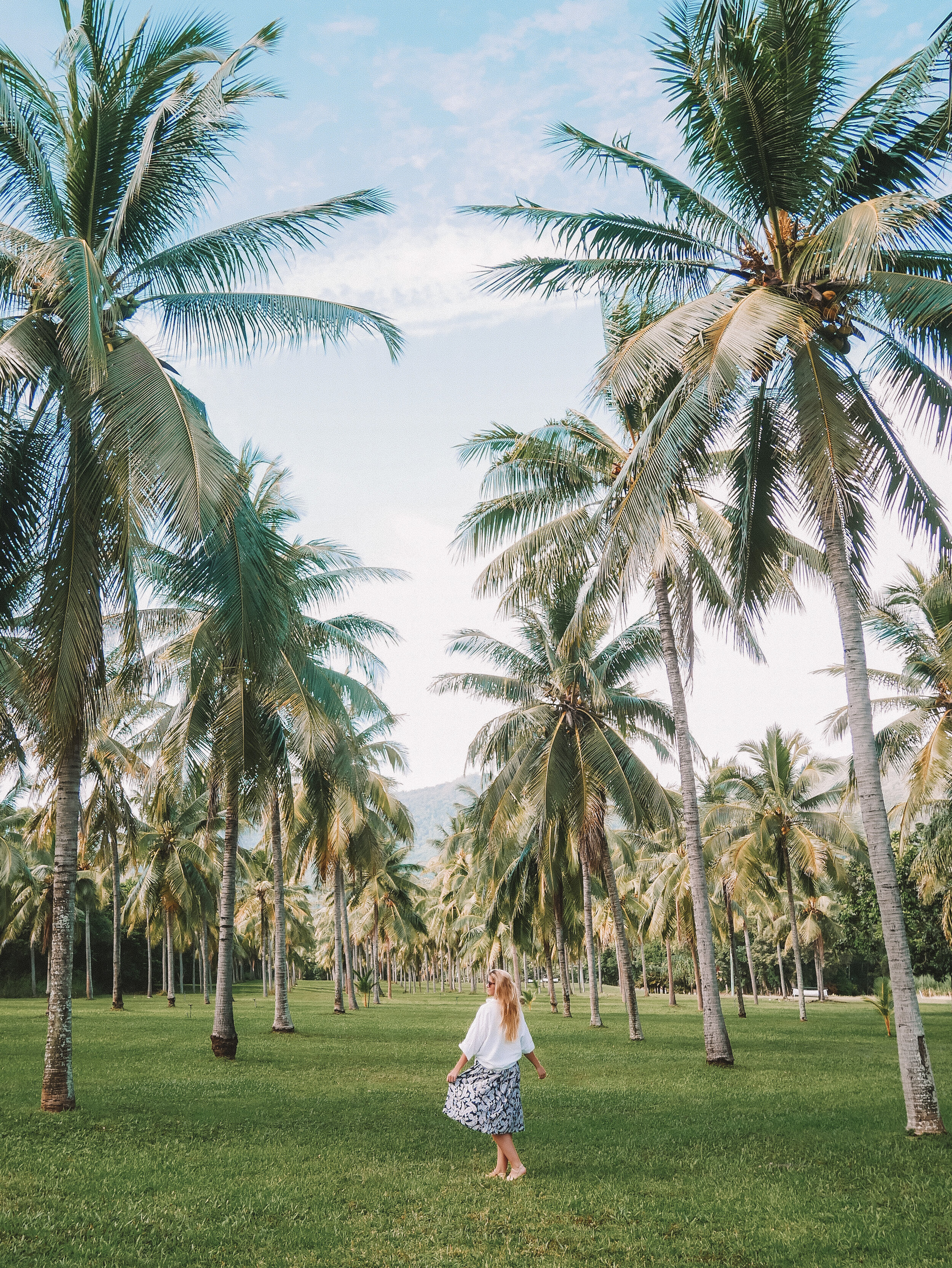 Walking around the palm tree plantation - Thala Beach Reserve - Tropical North Queensland (QLD) - Australia