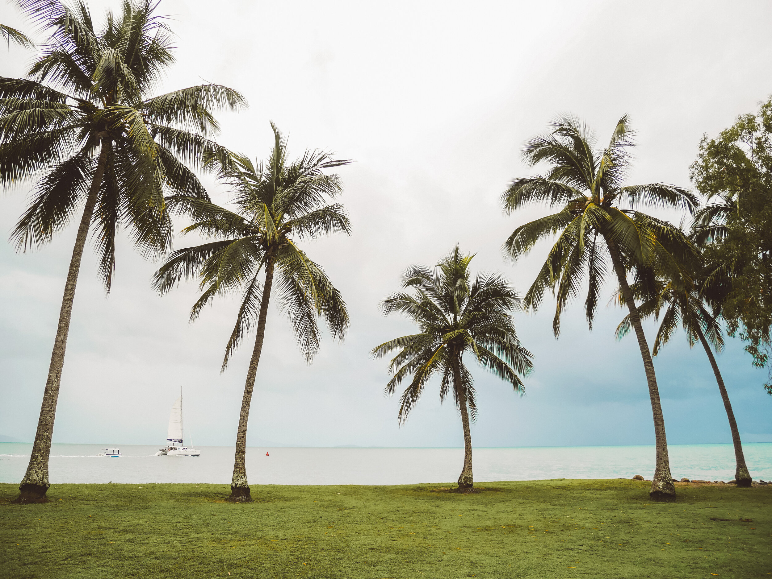 Palm Trees and a sailboat - Rex Smeal Park - Port Douglas - Tropical North Queensland (QLD) - Australia