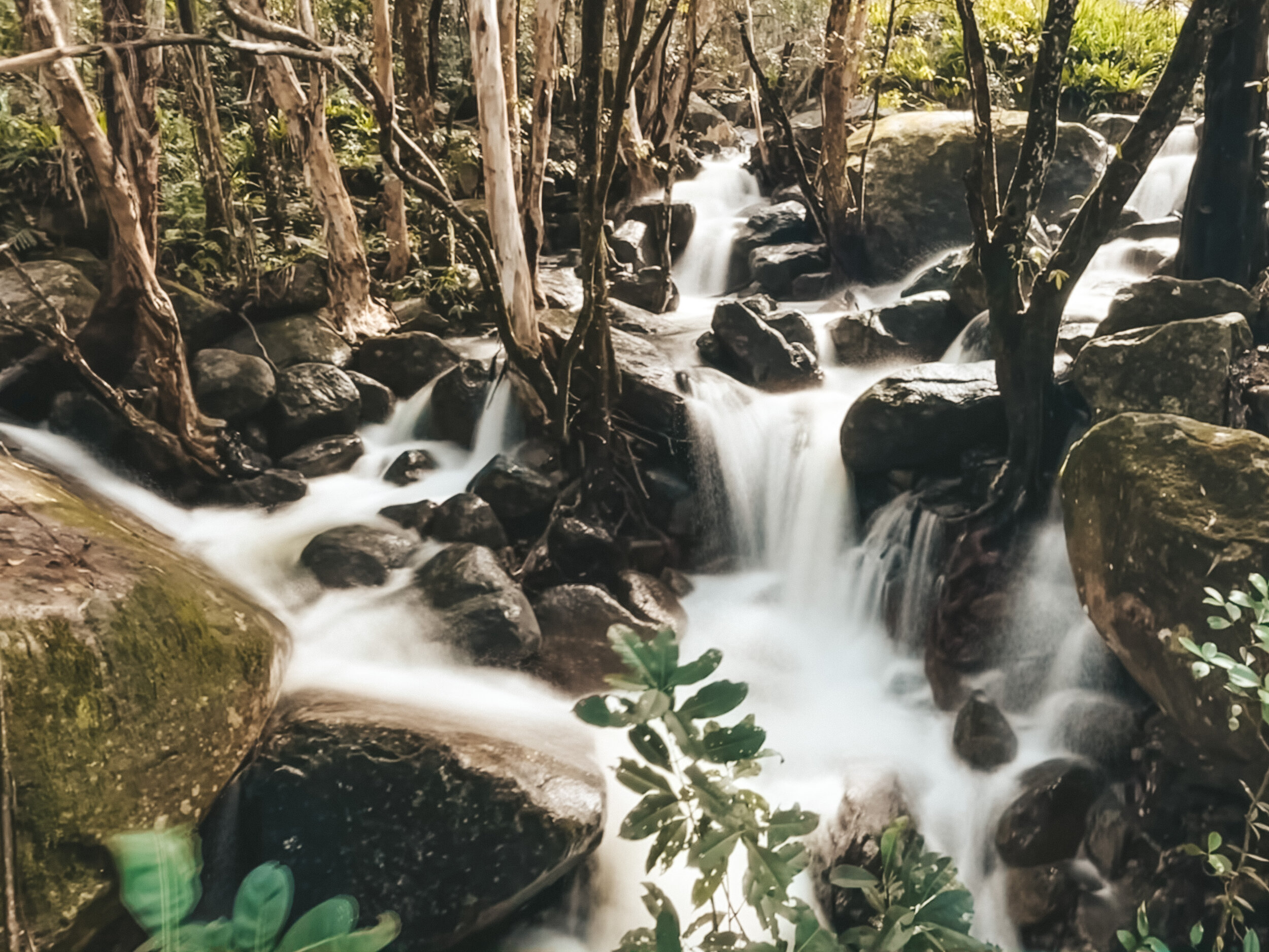 Une petite cascades sur le chemin de randonnée - Behana Gorge - Cairns - Tropical North Queensland (QLD) - Australie