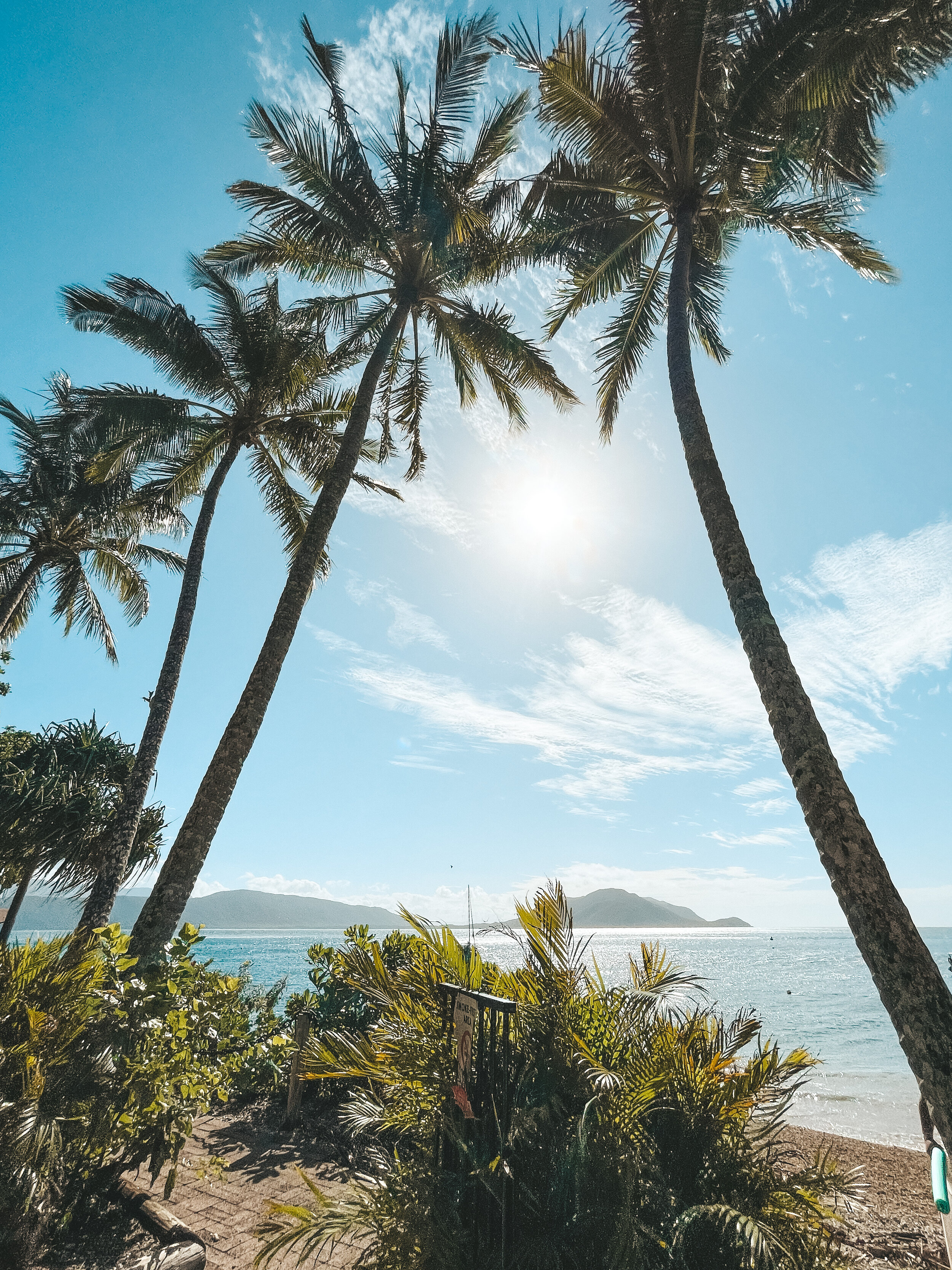 Palm Trees and island views - Fitzroy Island - Cairns - Tropical North Queensland (QLD) - Australia