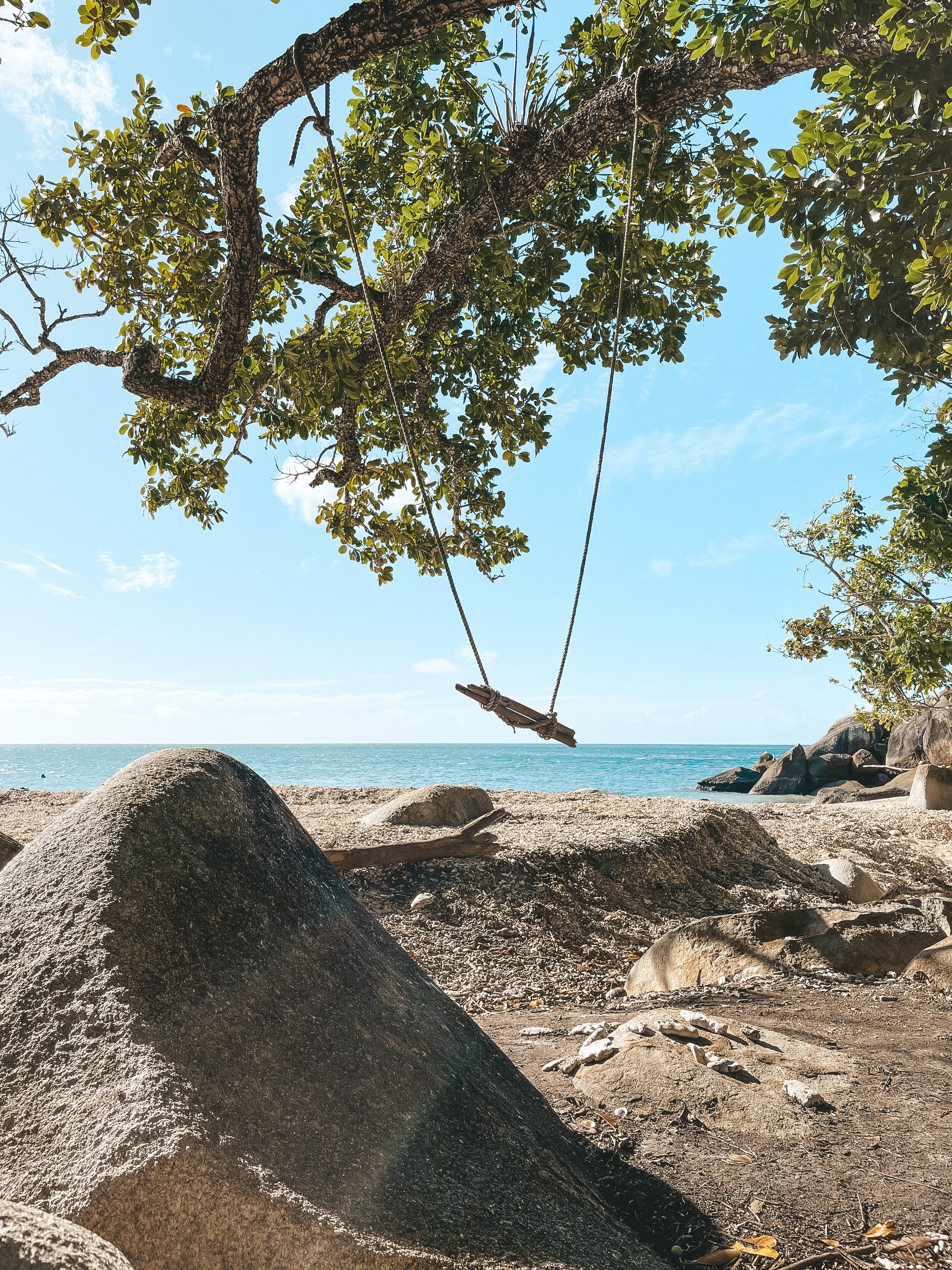 Une balançoire accrochée à un arbre - Nudey Beach - Fitzroy Island - Cairns - Tropical North Queensland (QLD) - Australie