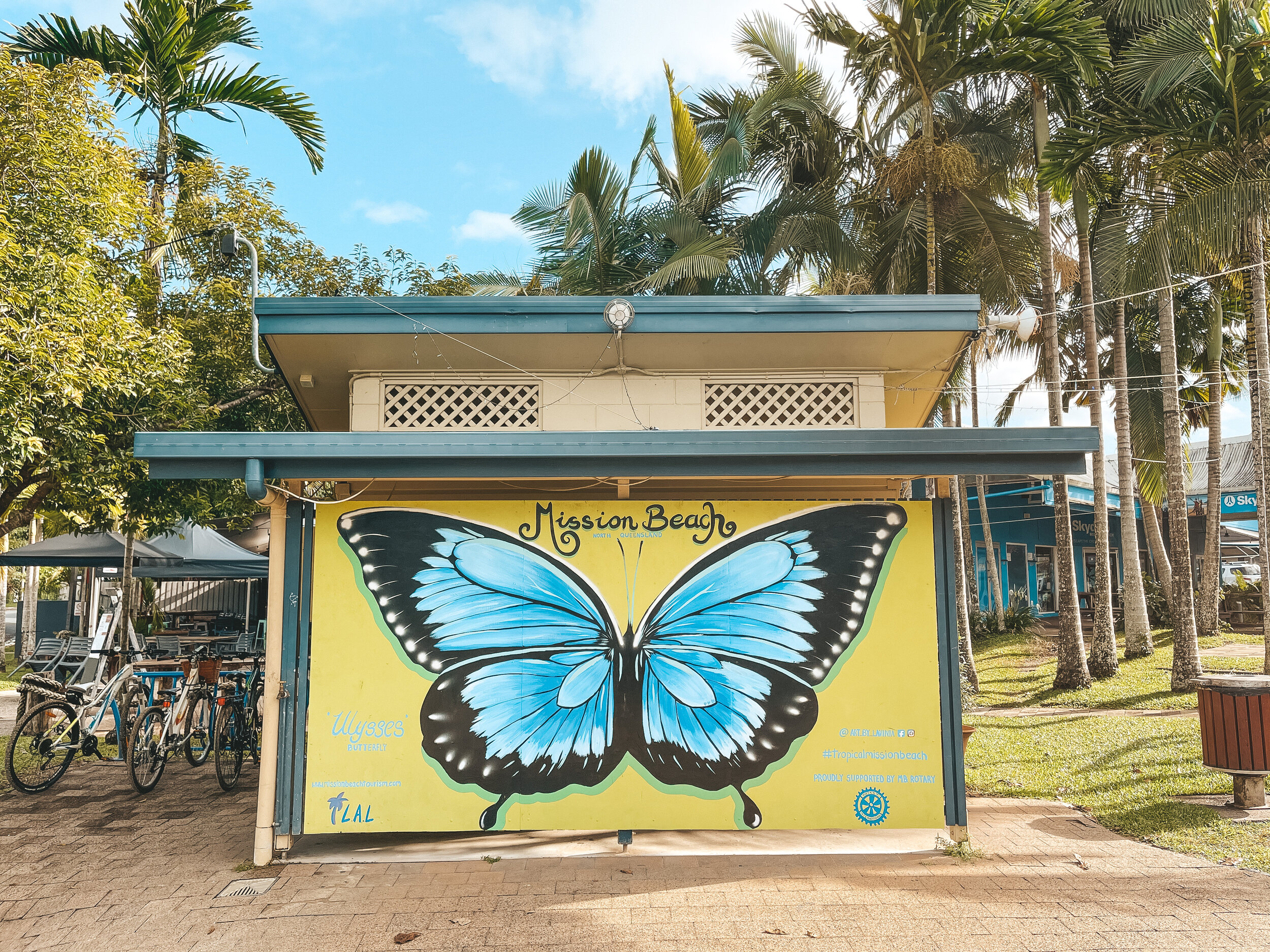 Papillon sur les toilettes publiques de Mission Beach - Tropical North Queensland (QLD) - Australie