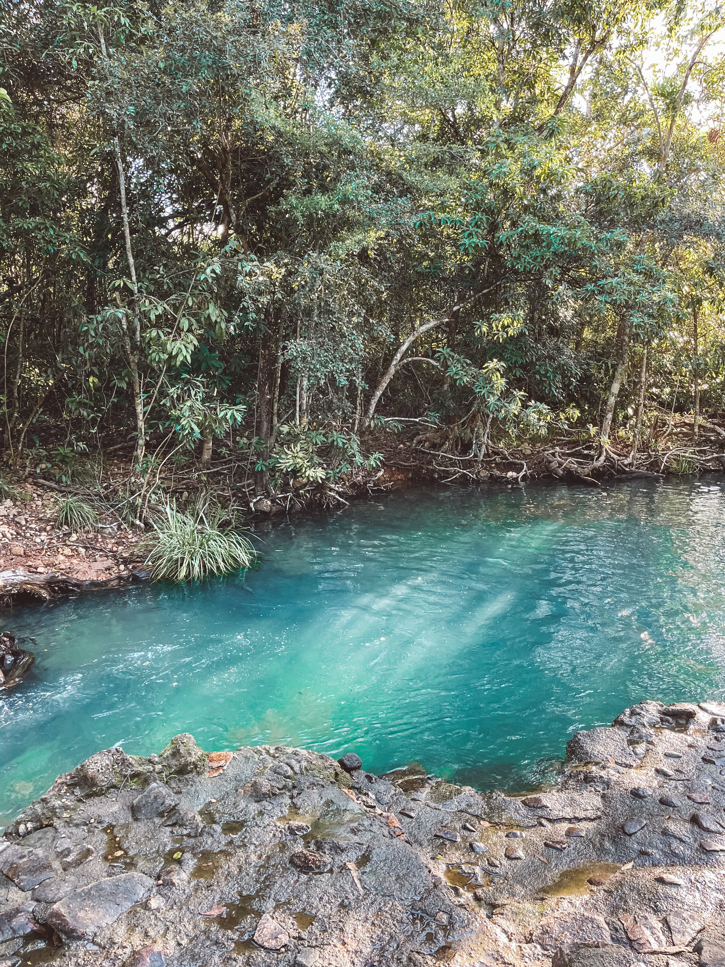 Carwell Natural Spa - Tropical North Queensland (QLD) - Australie