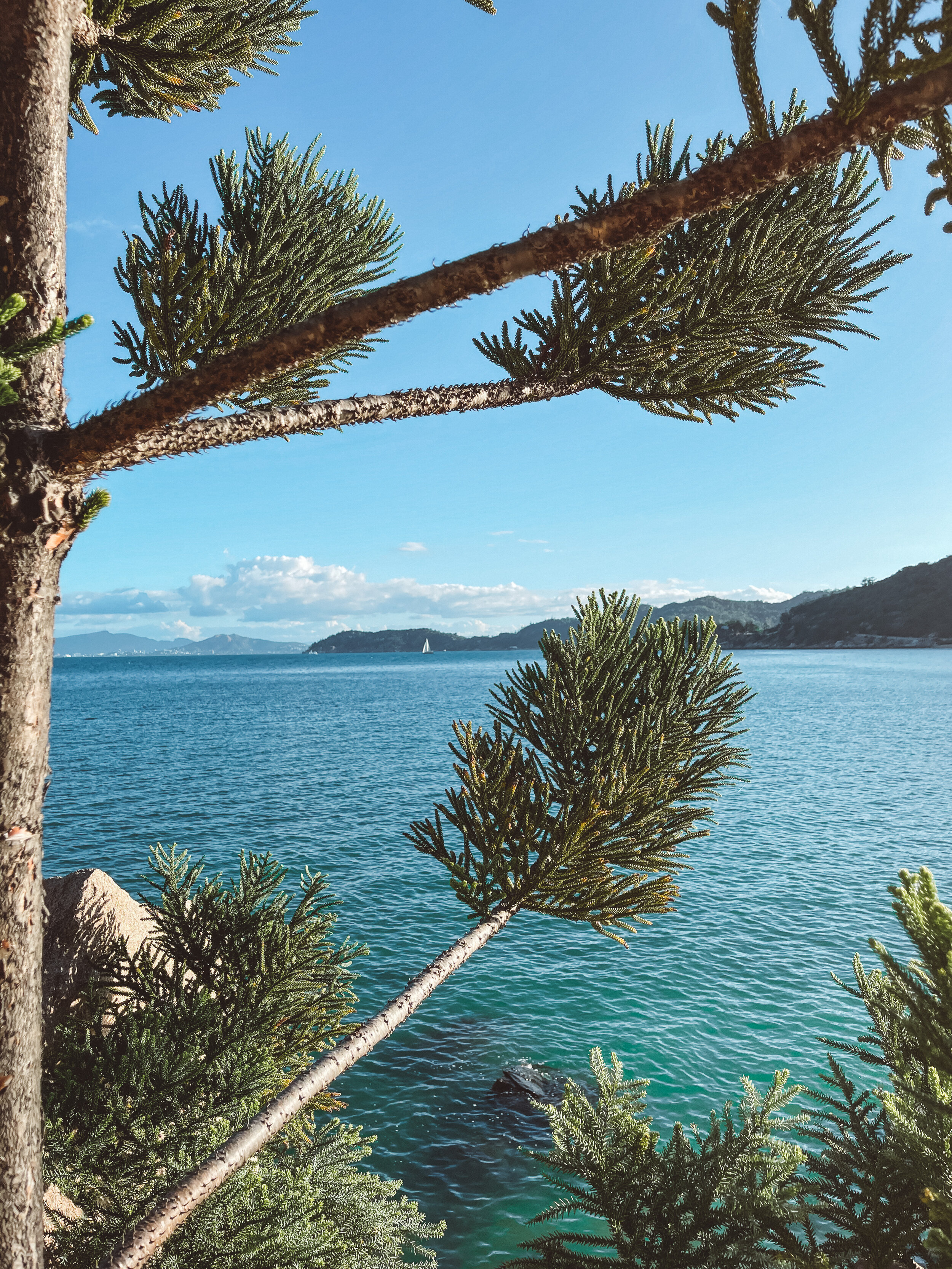 Beautiful Nature - Magnetic Island (Maggie) - Townsville - Tropical North Queensland (QLD) - Australia