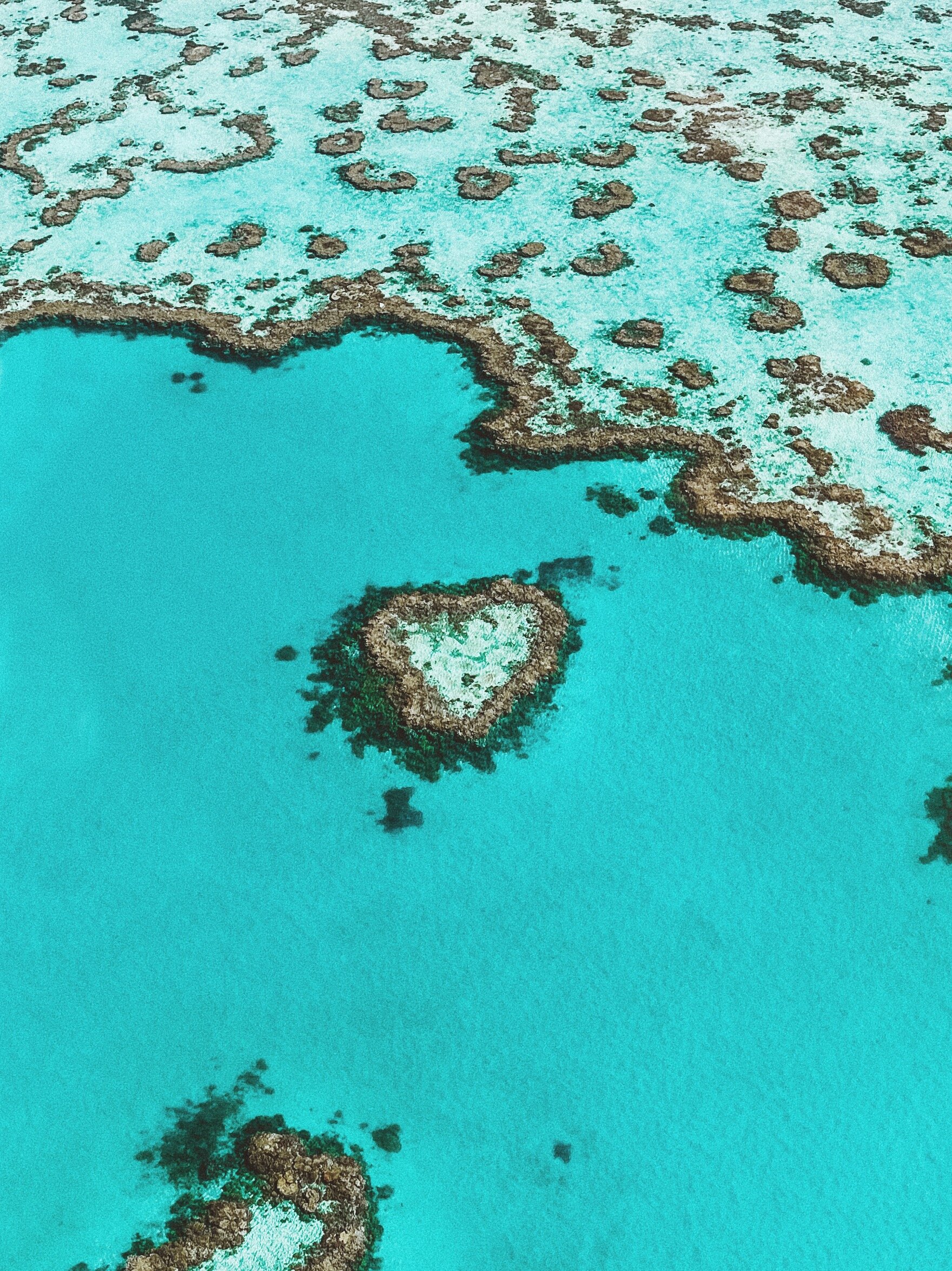 Heart Shaped Reef - Great Barrier Reef - Whitsundays - Helicopter Tour - Tropical North Queensland (QLD) - Australia