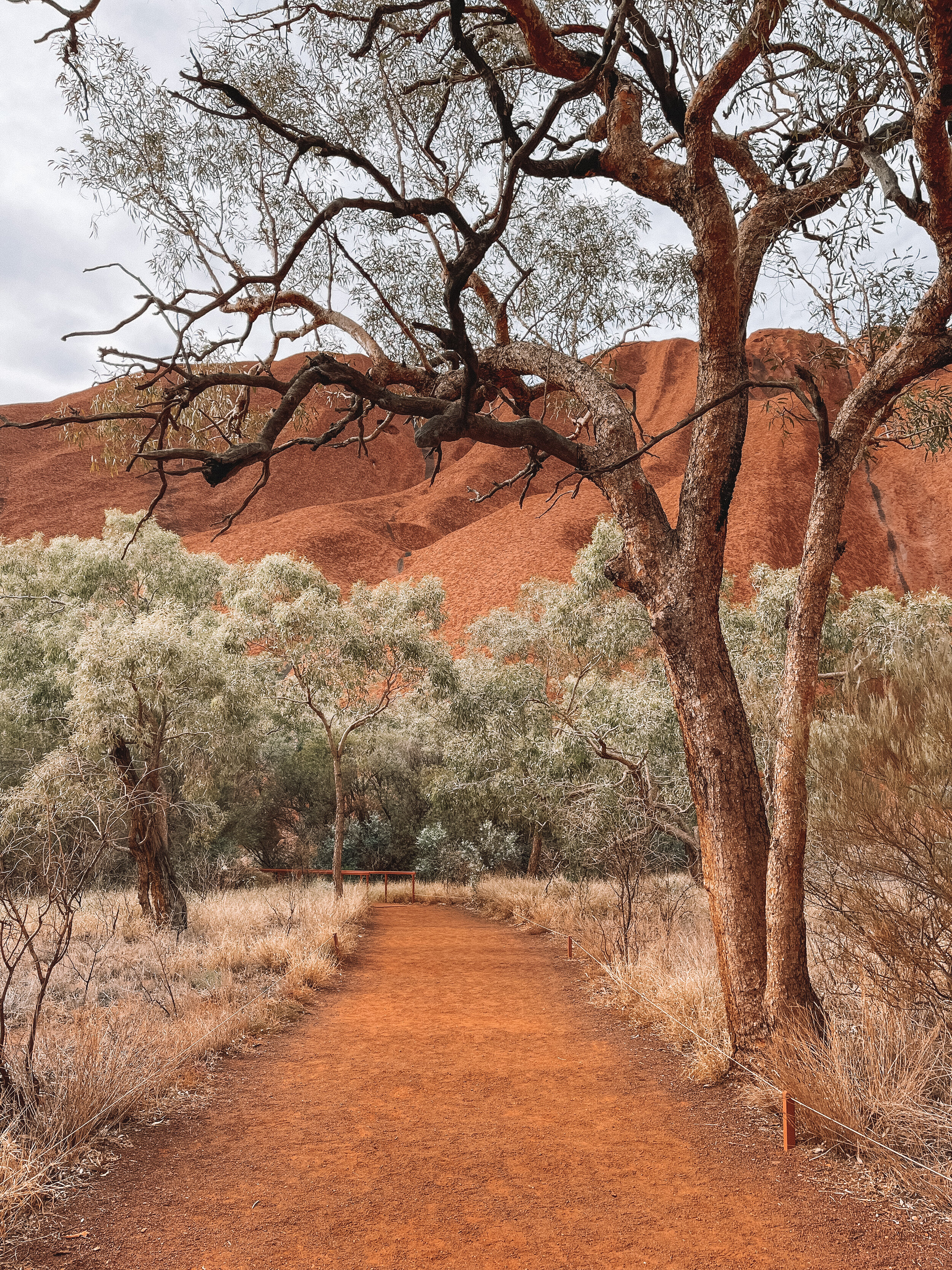 The start of Mala Walk - Uluru - Northern Territory - Australia