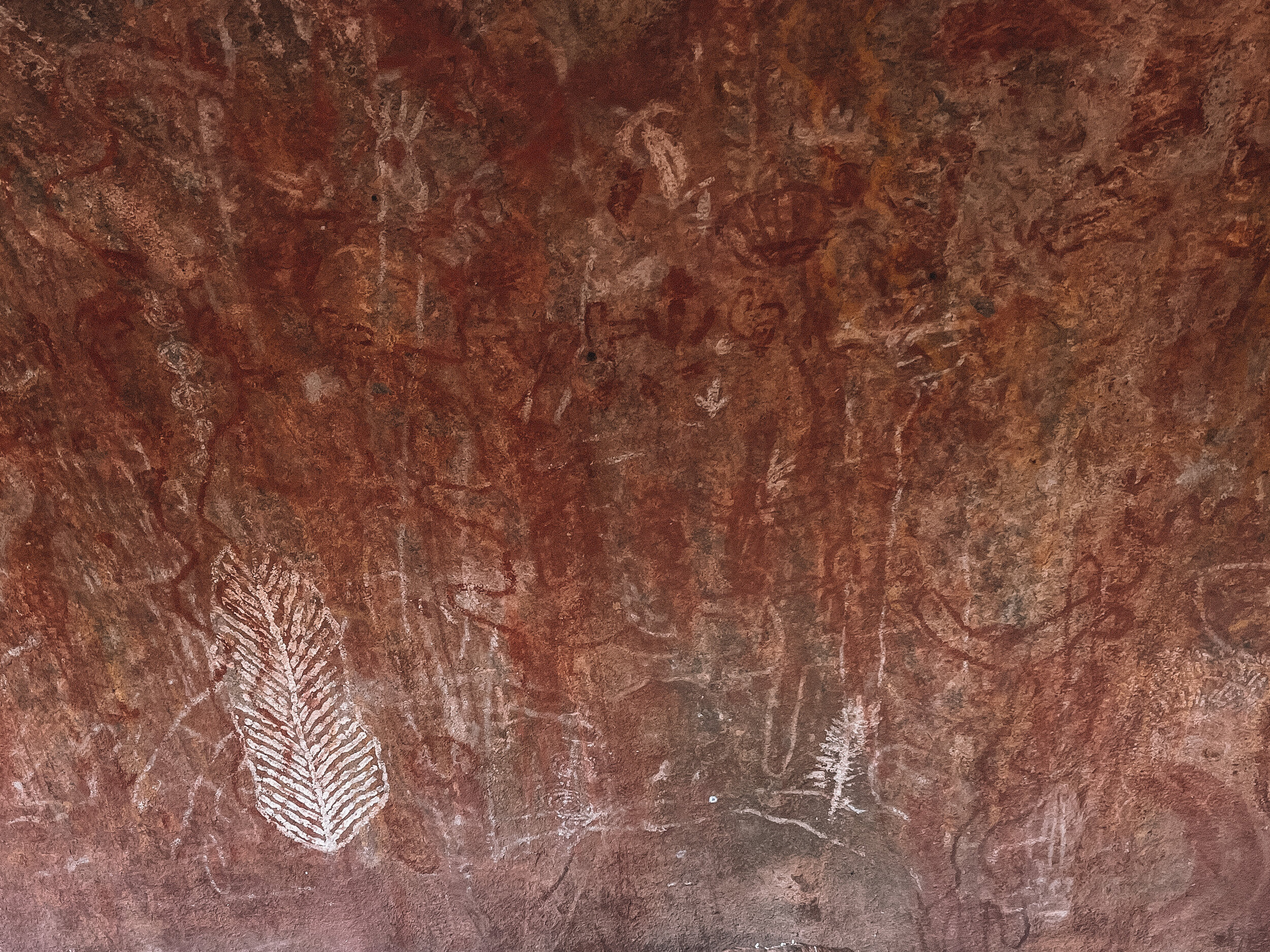 Aboriginal Paintings - Mala Walk - Uluru - Northern Territory - Australia