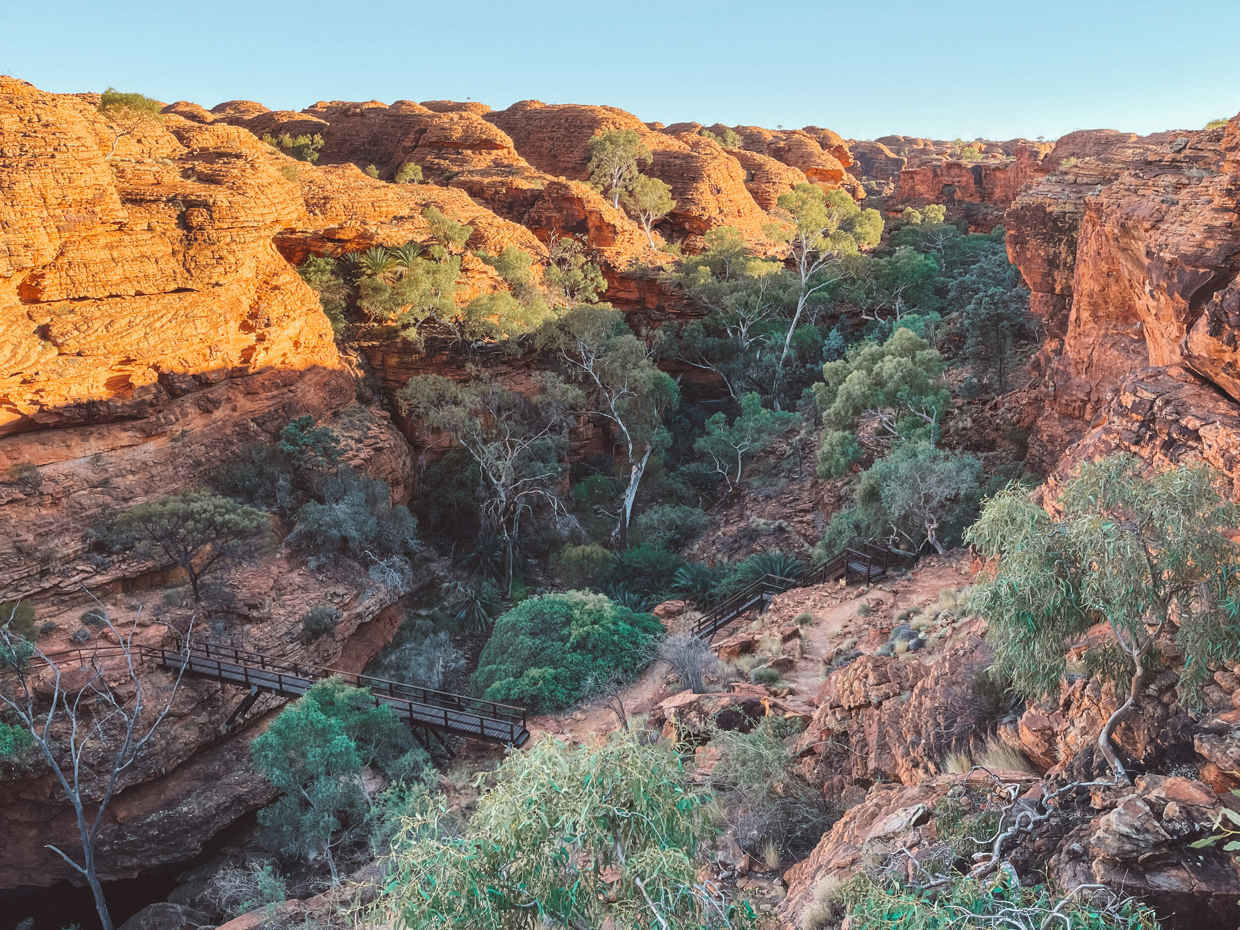 Garden of Eden - Kings Canyon - Rim Walk - Petermann - Northern Territory - Australia